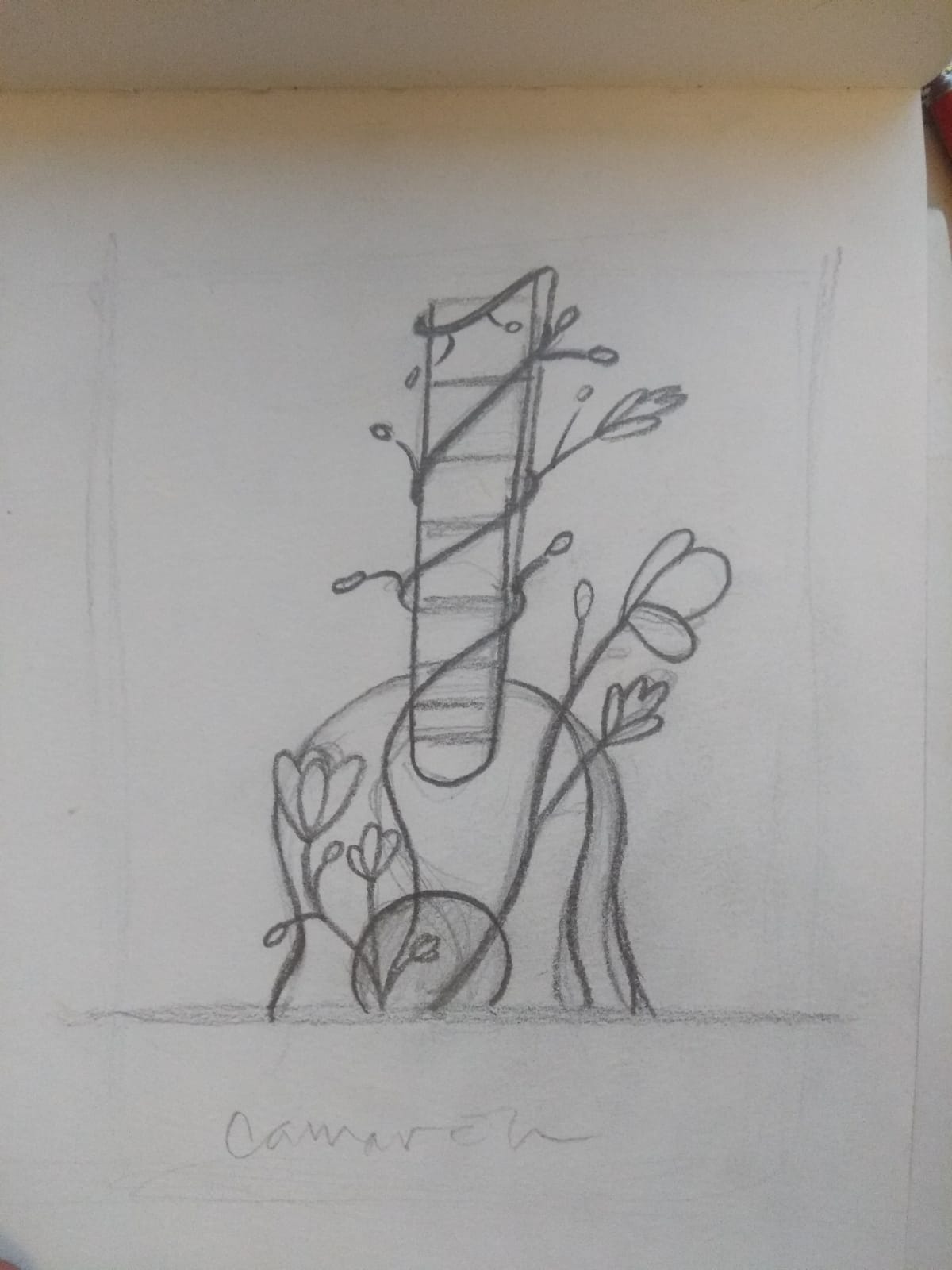 Camarón de la isla - image 1 - student project