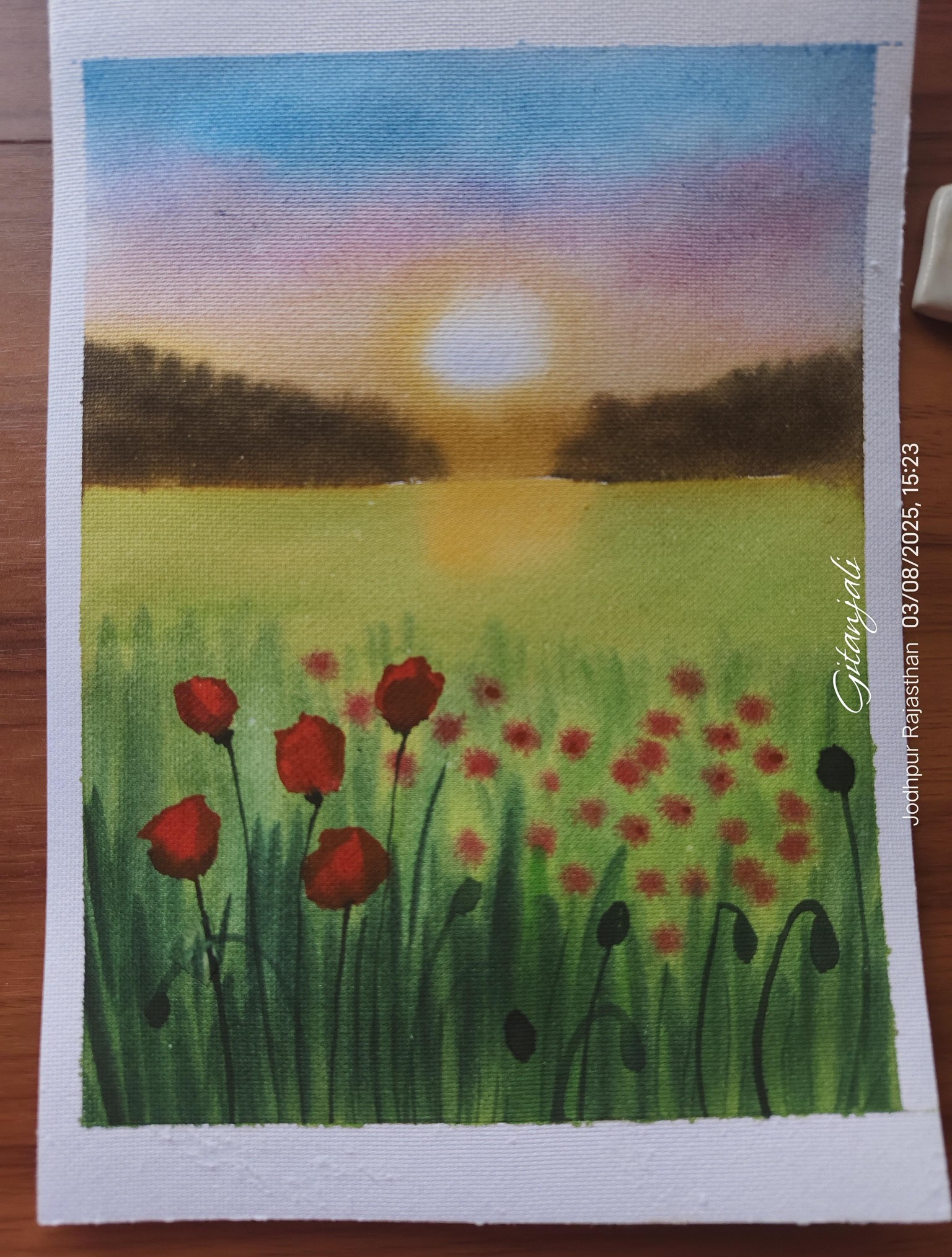 Spring poppy field - image 3 - student project