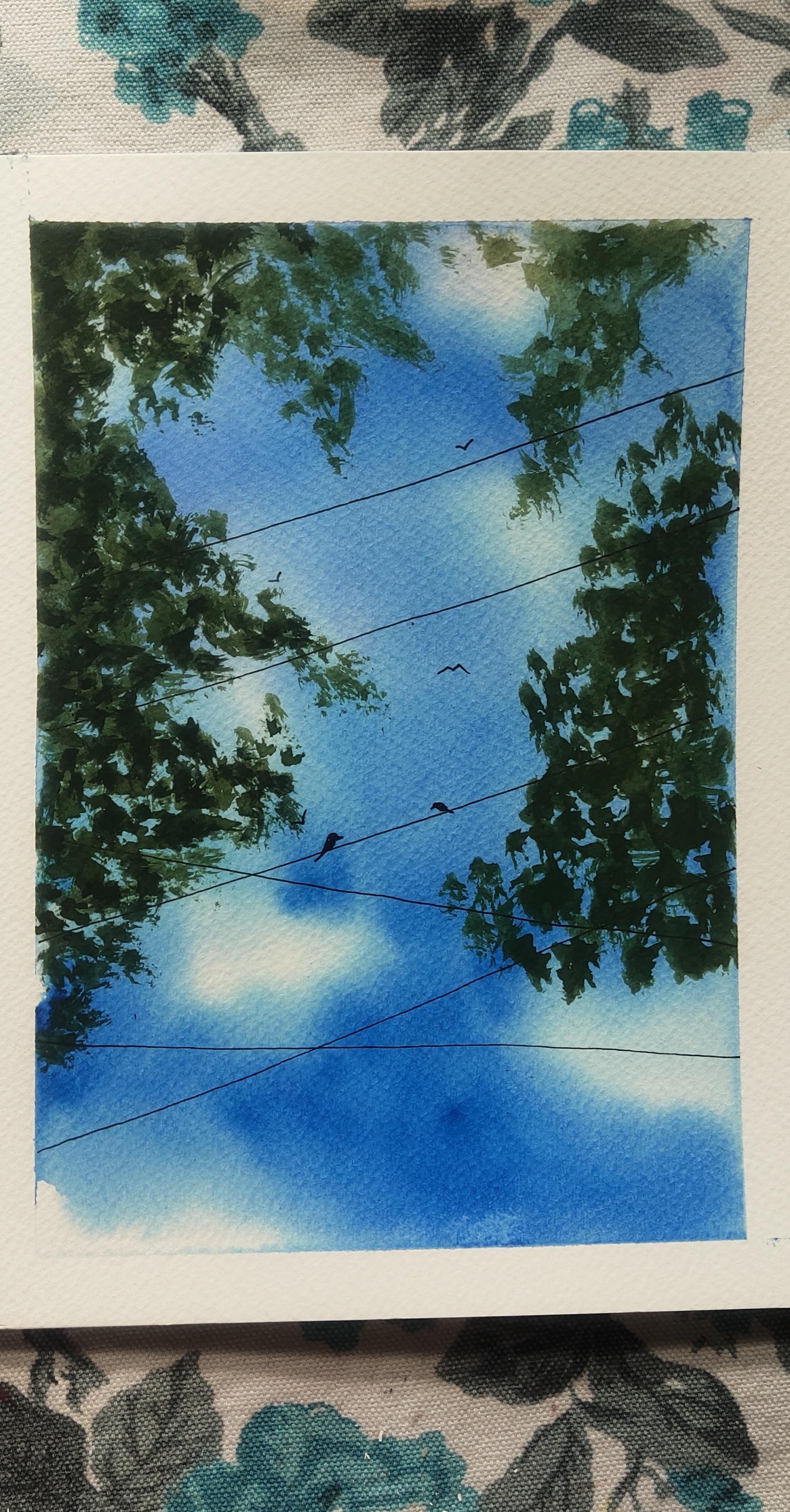 Blue skies - image 5 - student project