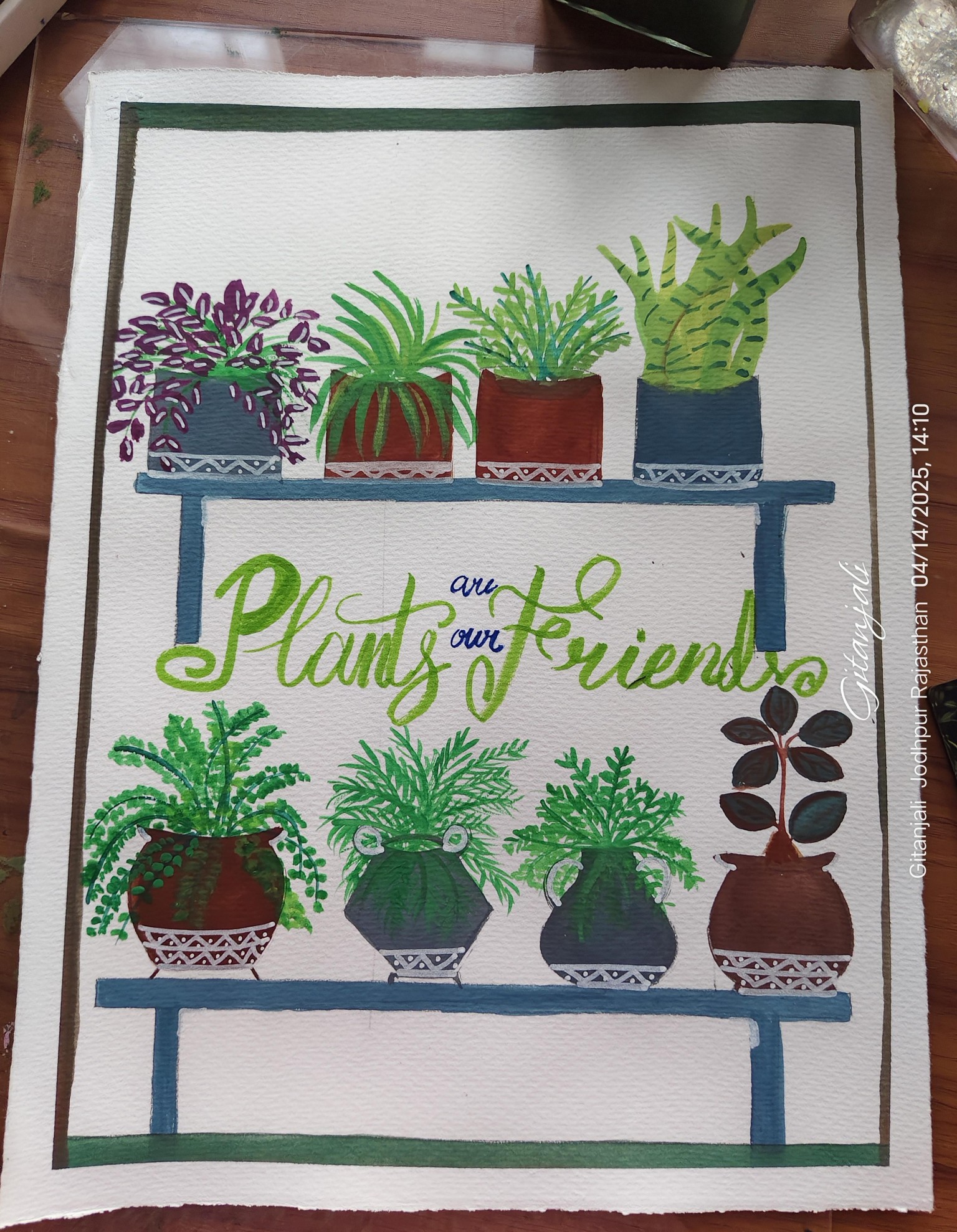 My garden plants - image 4 - student project