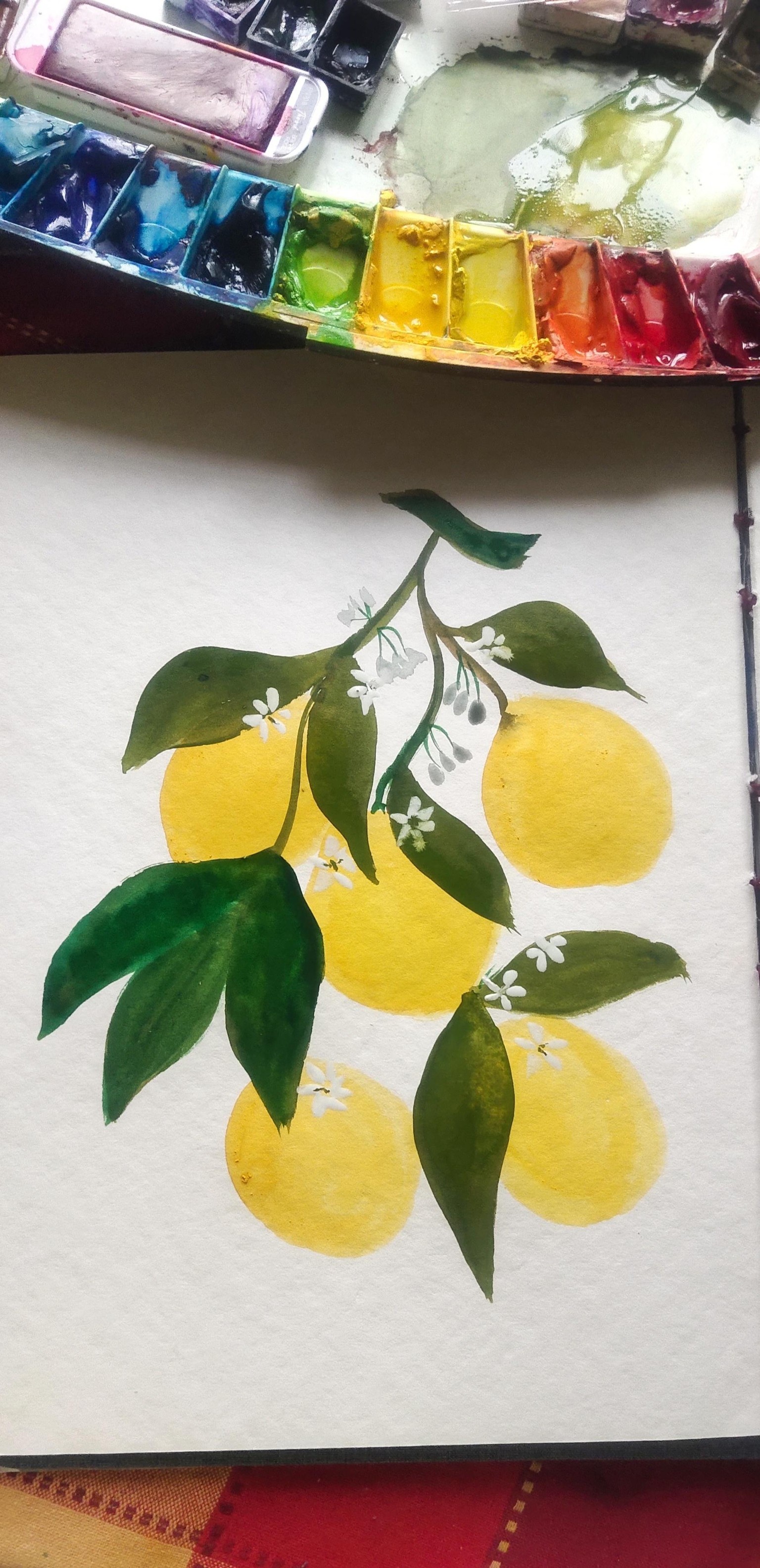 Fruit arrangement with flowers - image 3 - student project