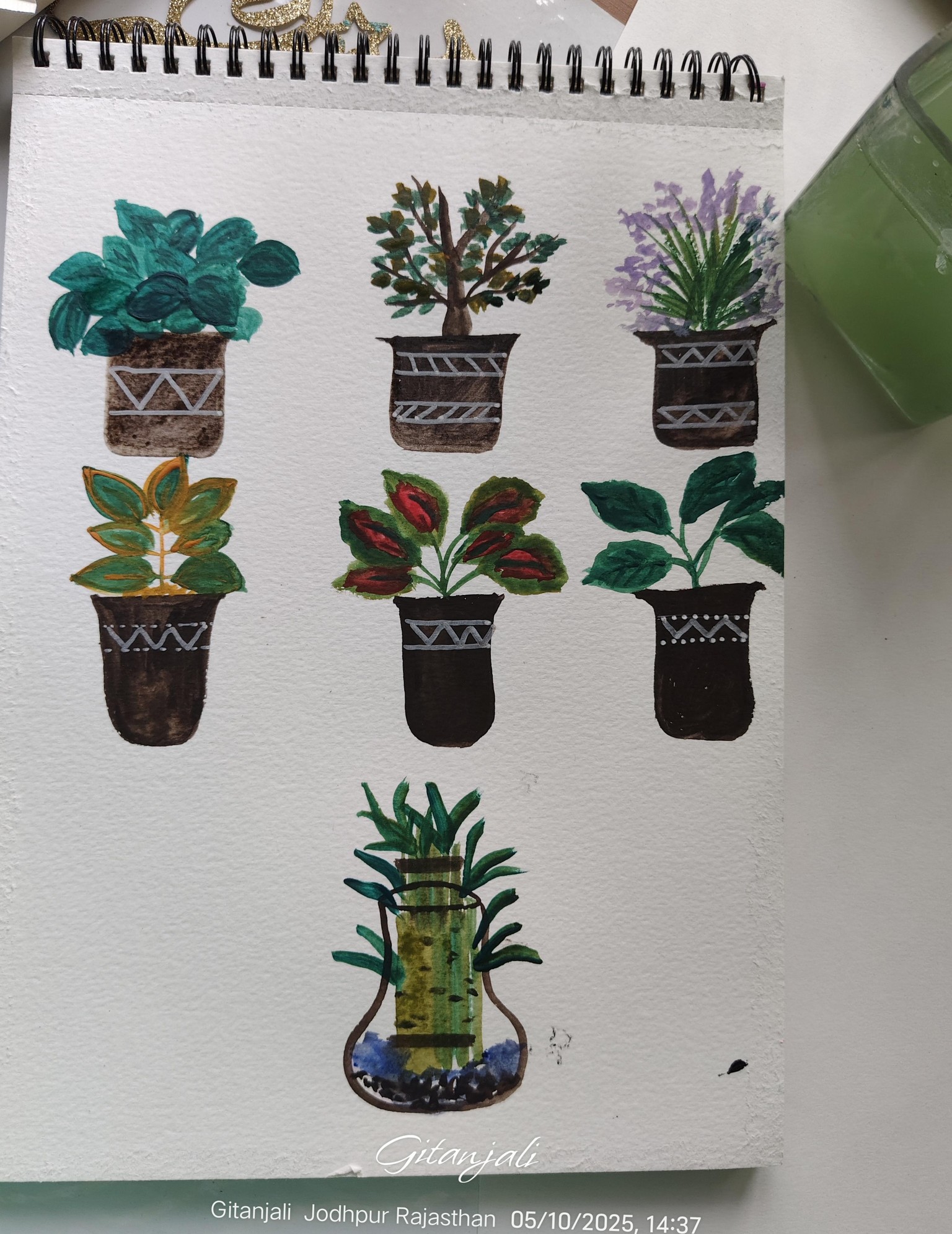 My garden plants - image 1 - student project