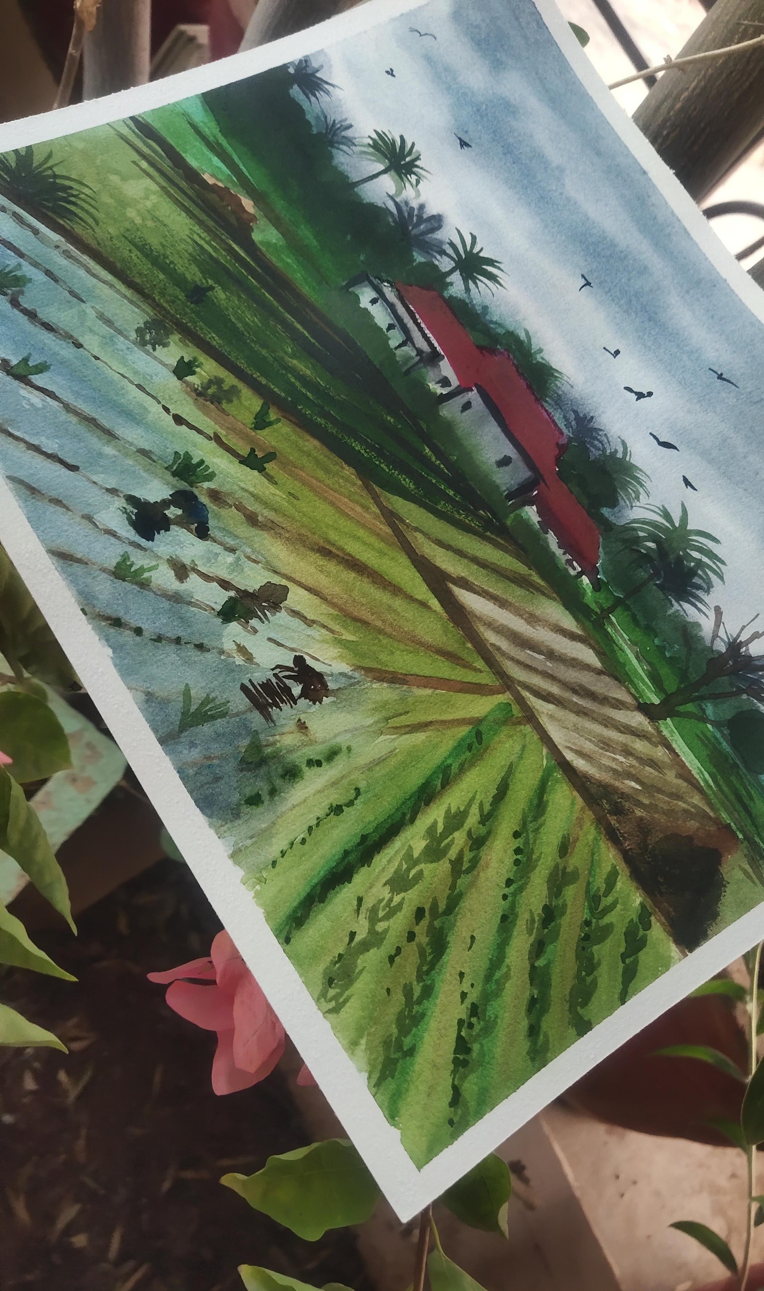 Indian spirit monsoon field - image 3 - student project