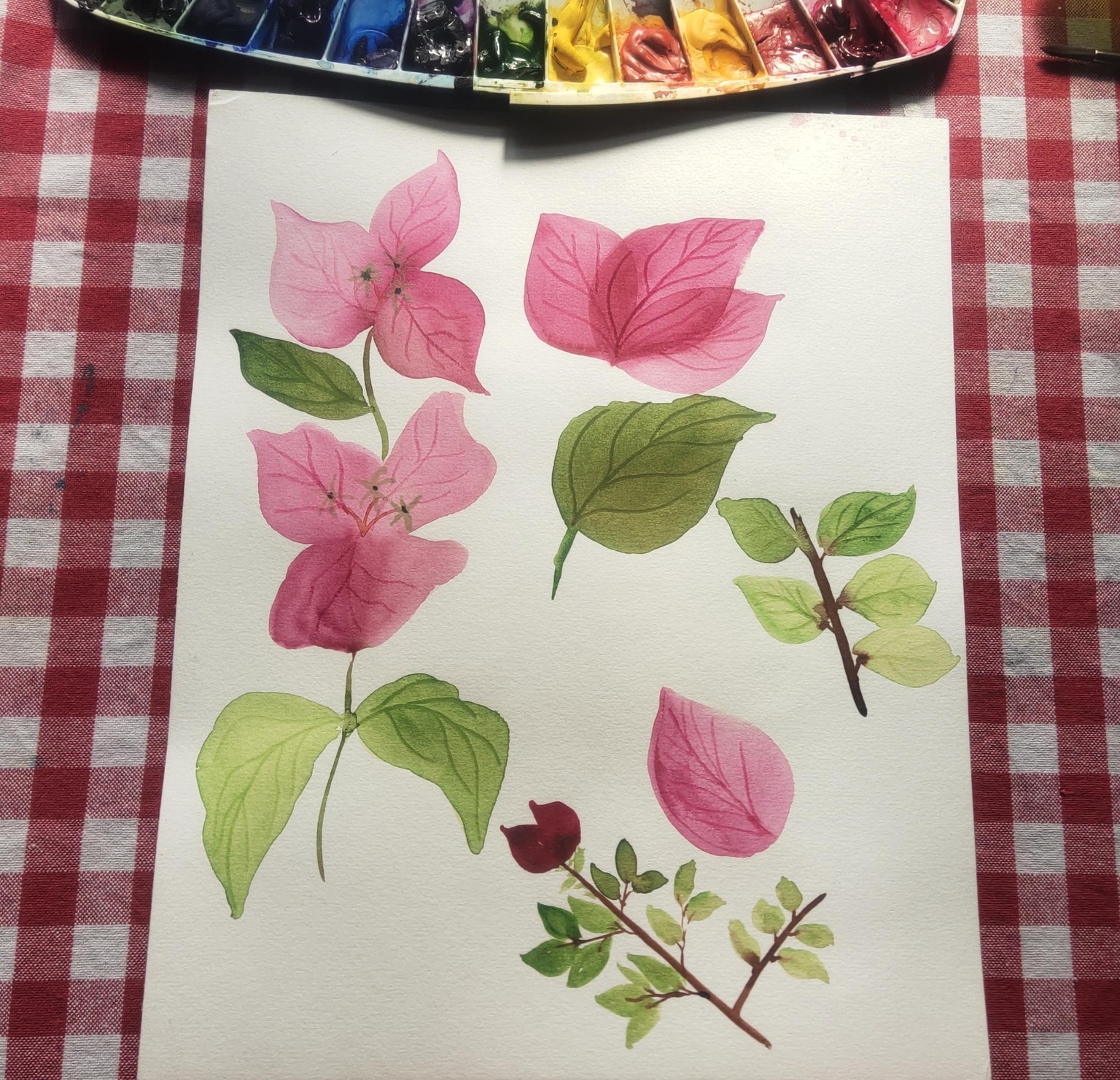 Depth knowledge of flower illustration - image 7 - student project