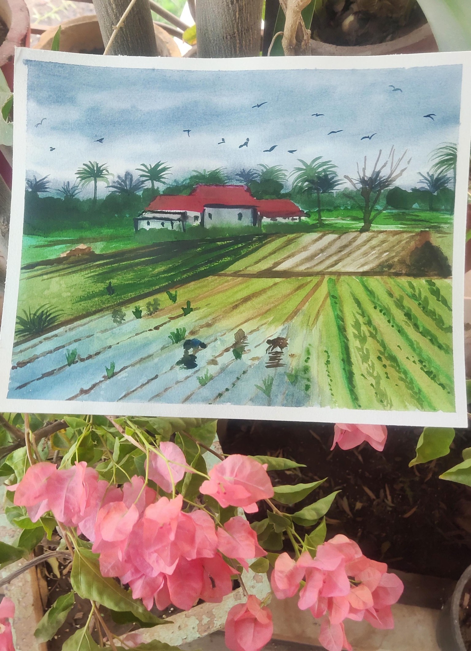 Indian spirit monsoon field - image 1 - student project