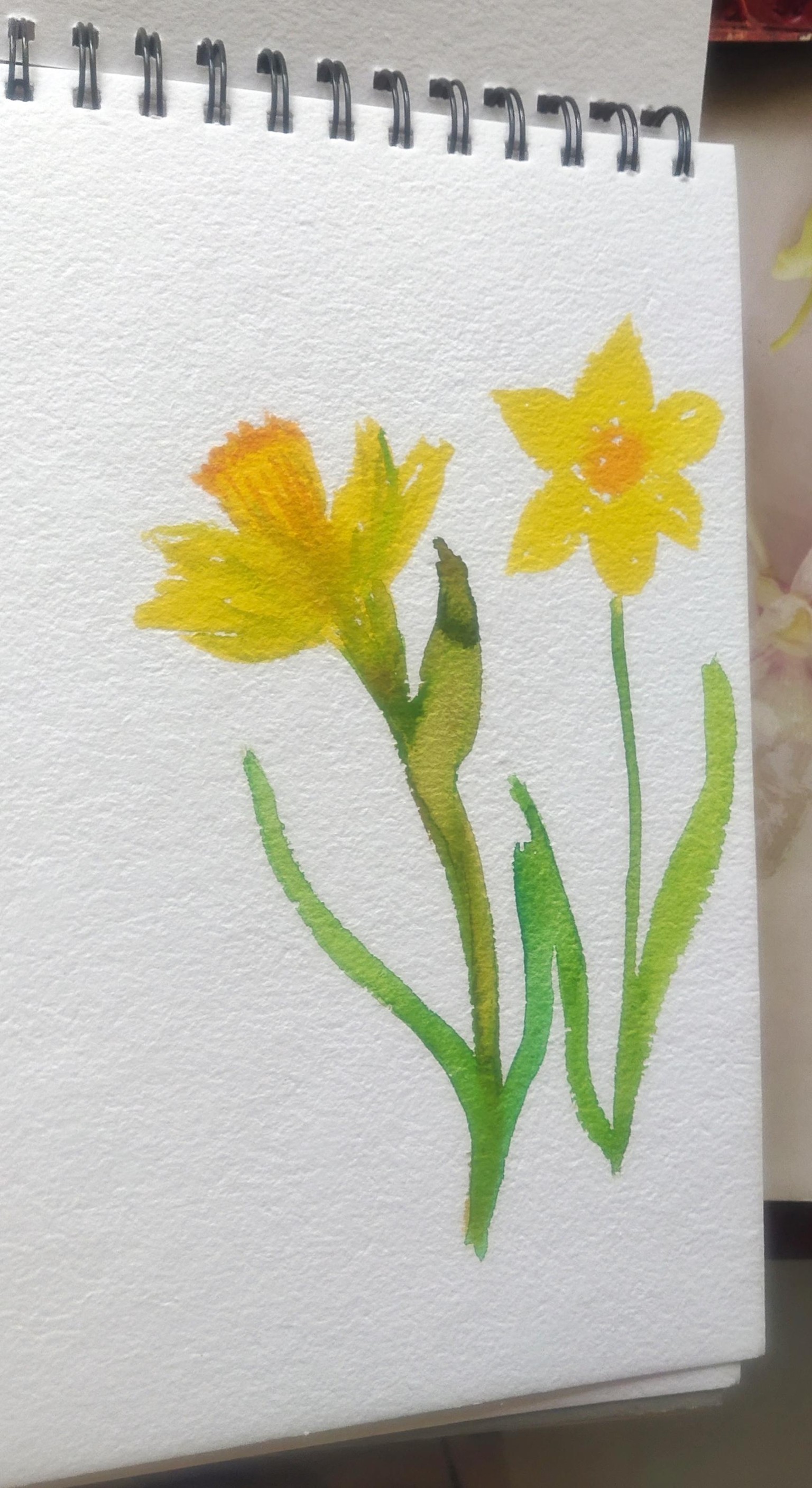 Botanicals - image 4 - student project