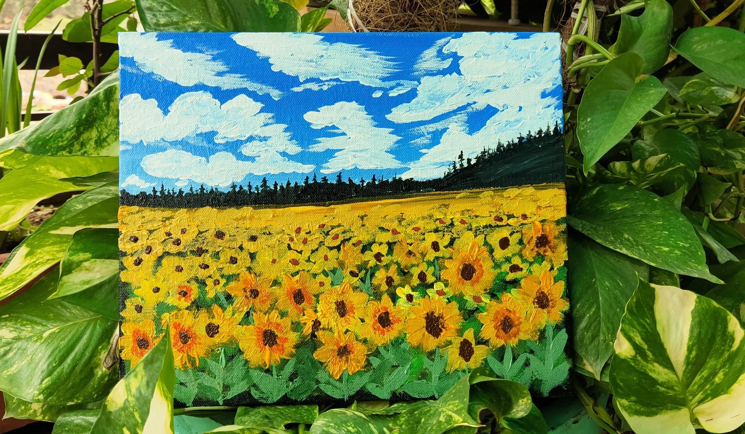 Sunflower field - image 2 - student project
