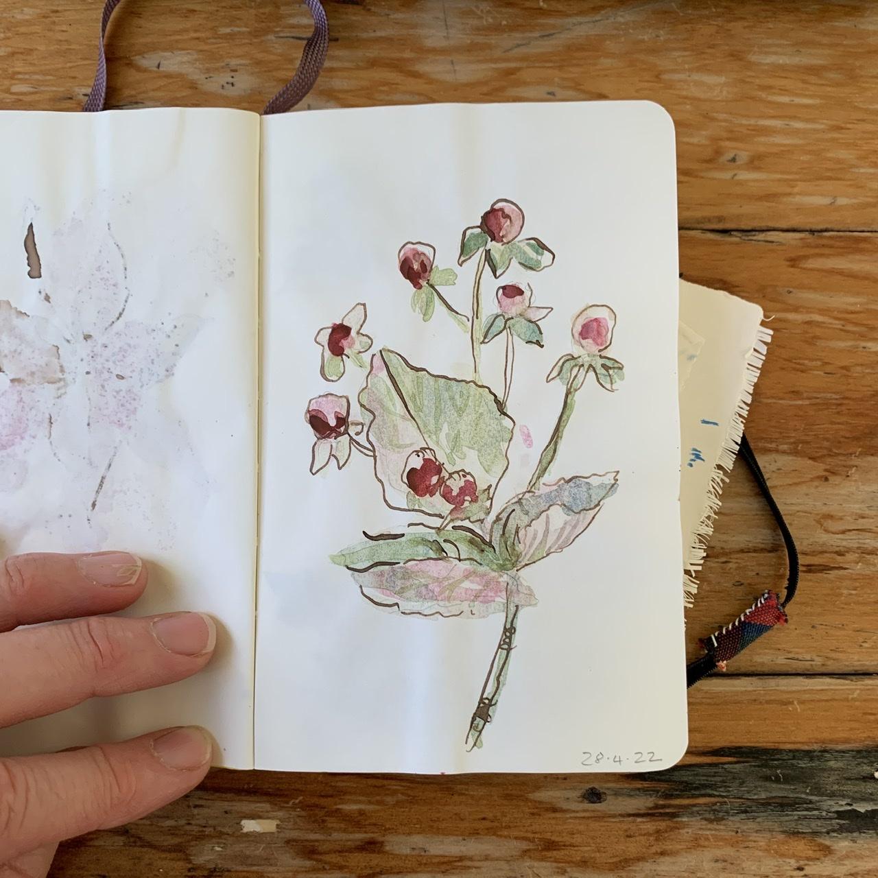 Loose watercolour florals with ink - image 3 - student project