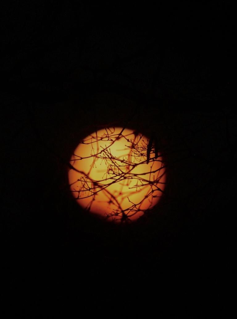 Full moon focus - image 2 - student project