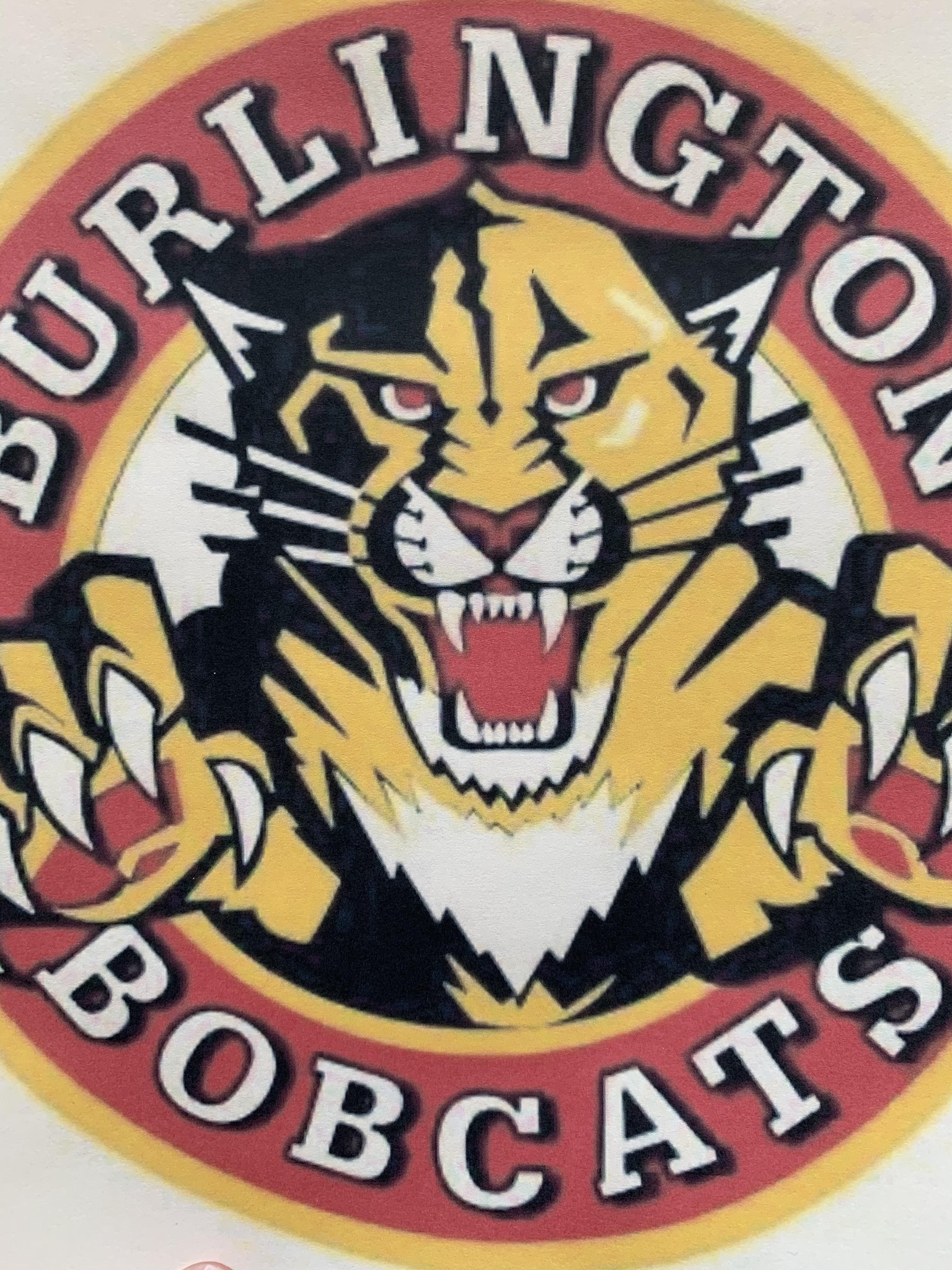 Bobcats - image 3 - student project
