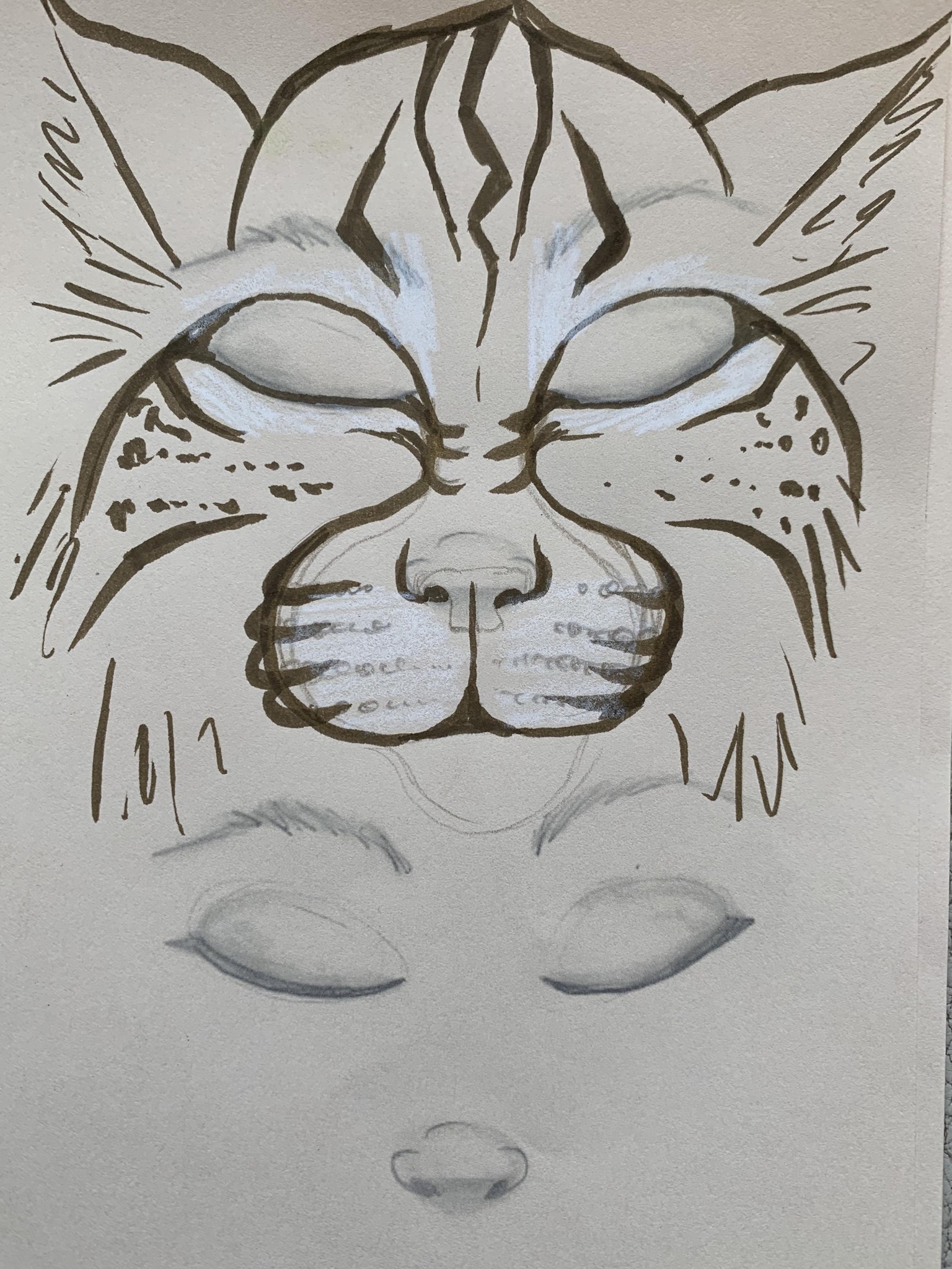 Bobcats - image 5 - student project
