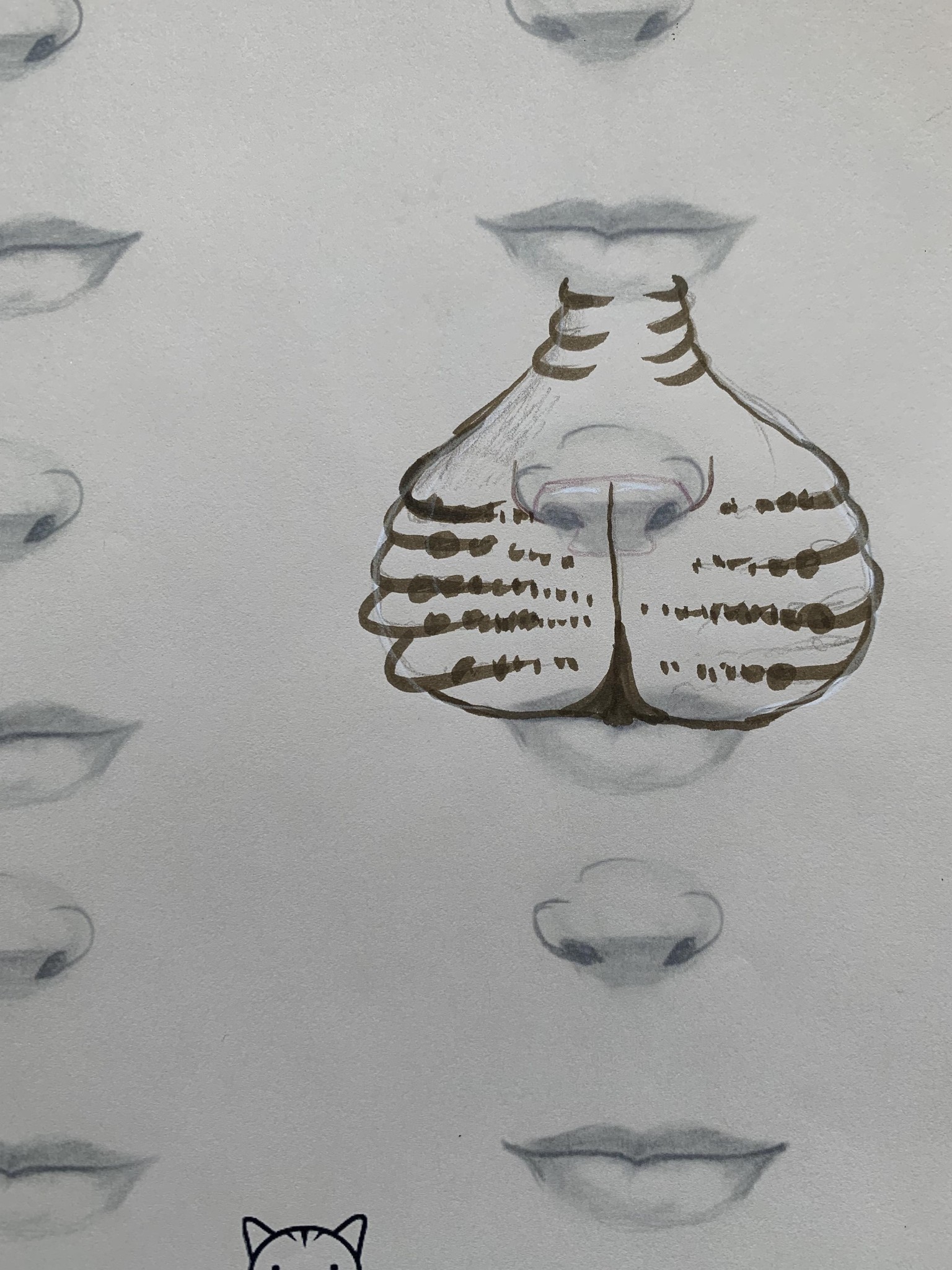 Bobcats - image 4 - student project