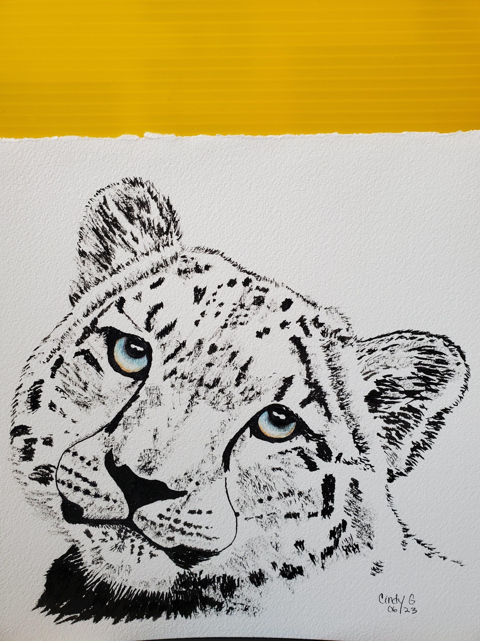 Snow Leopard - image 1 - student project