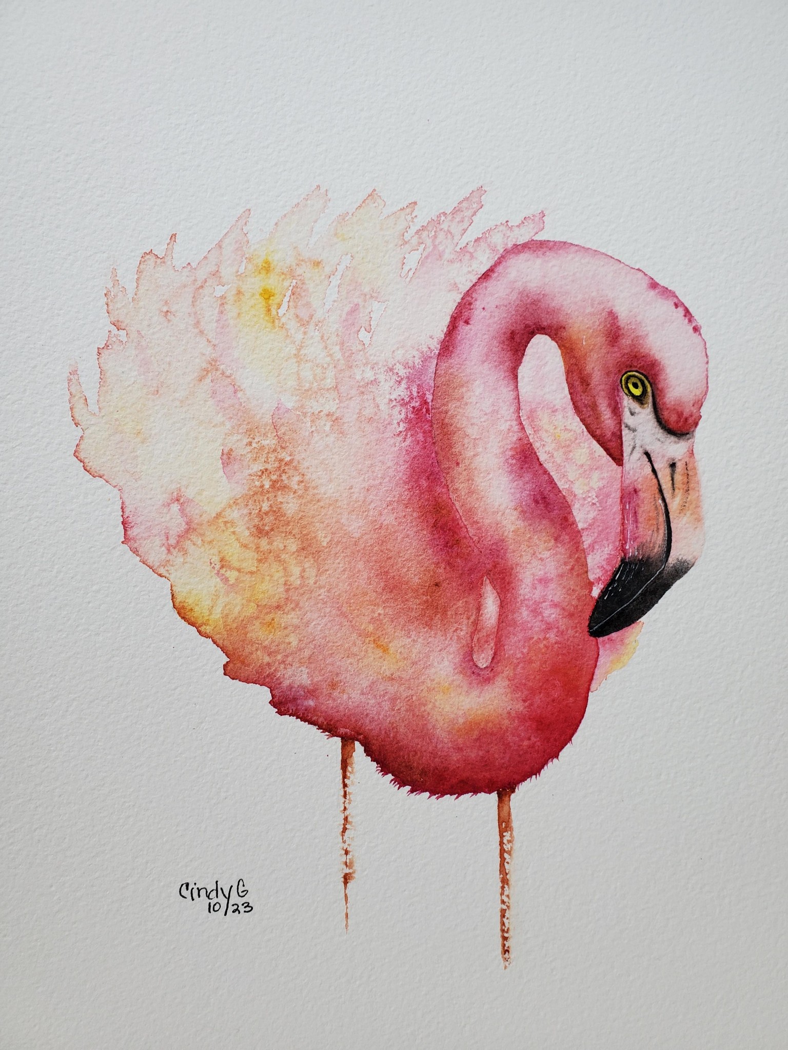Flamingo - image 1 - student project