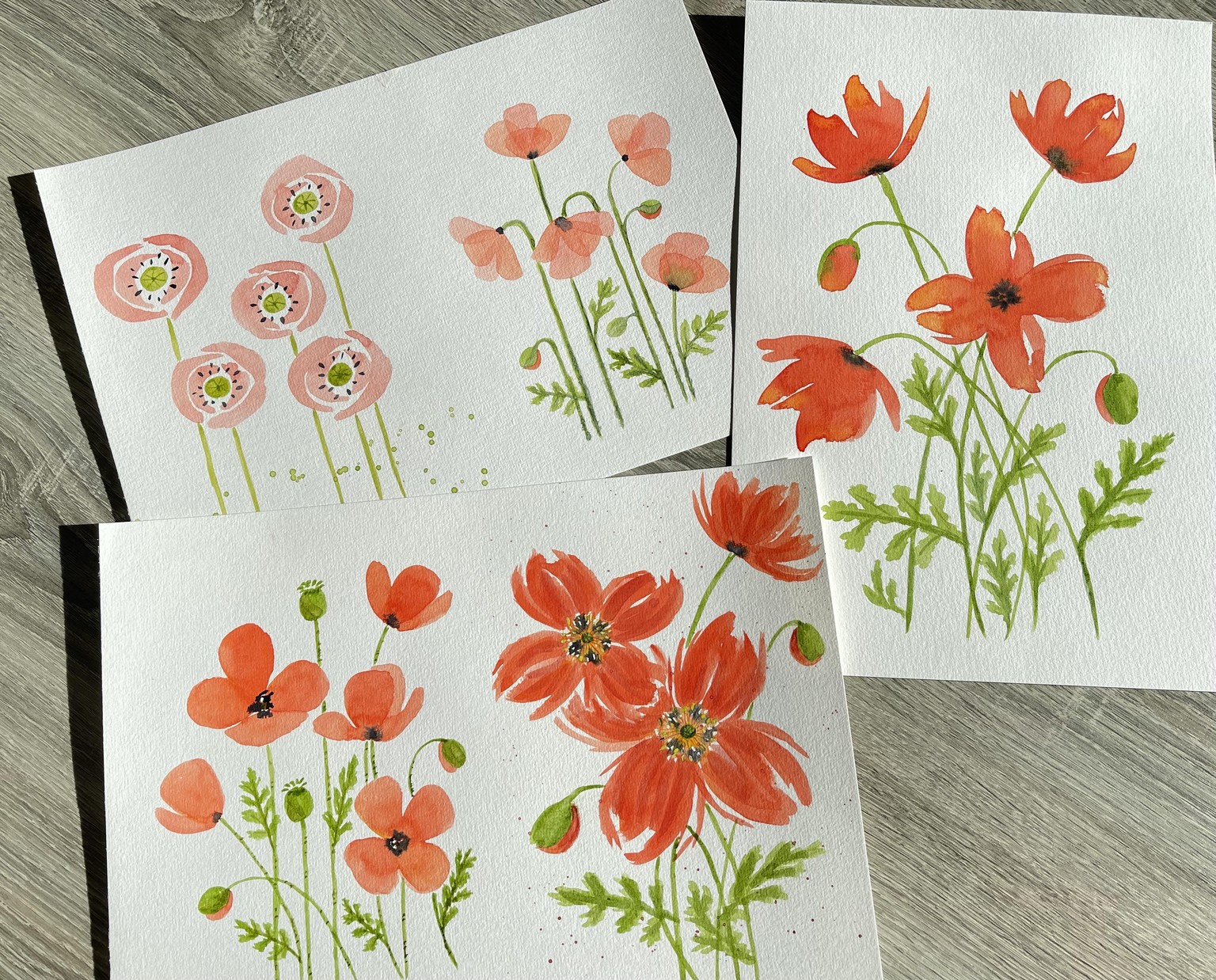 My Poppies - image 1 - student project