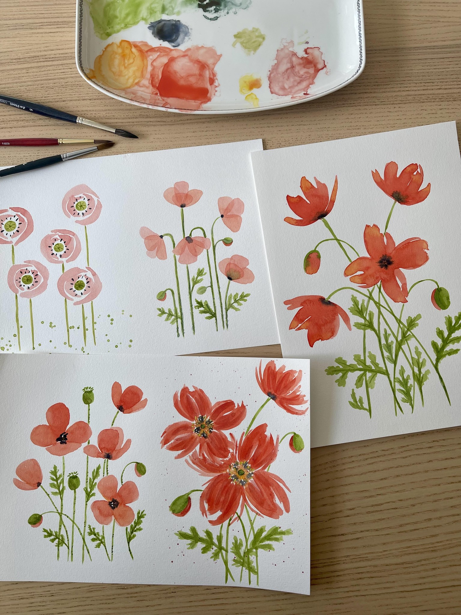 My Poppies - image 2 - student project