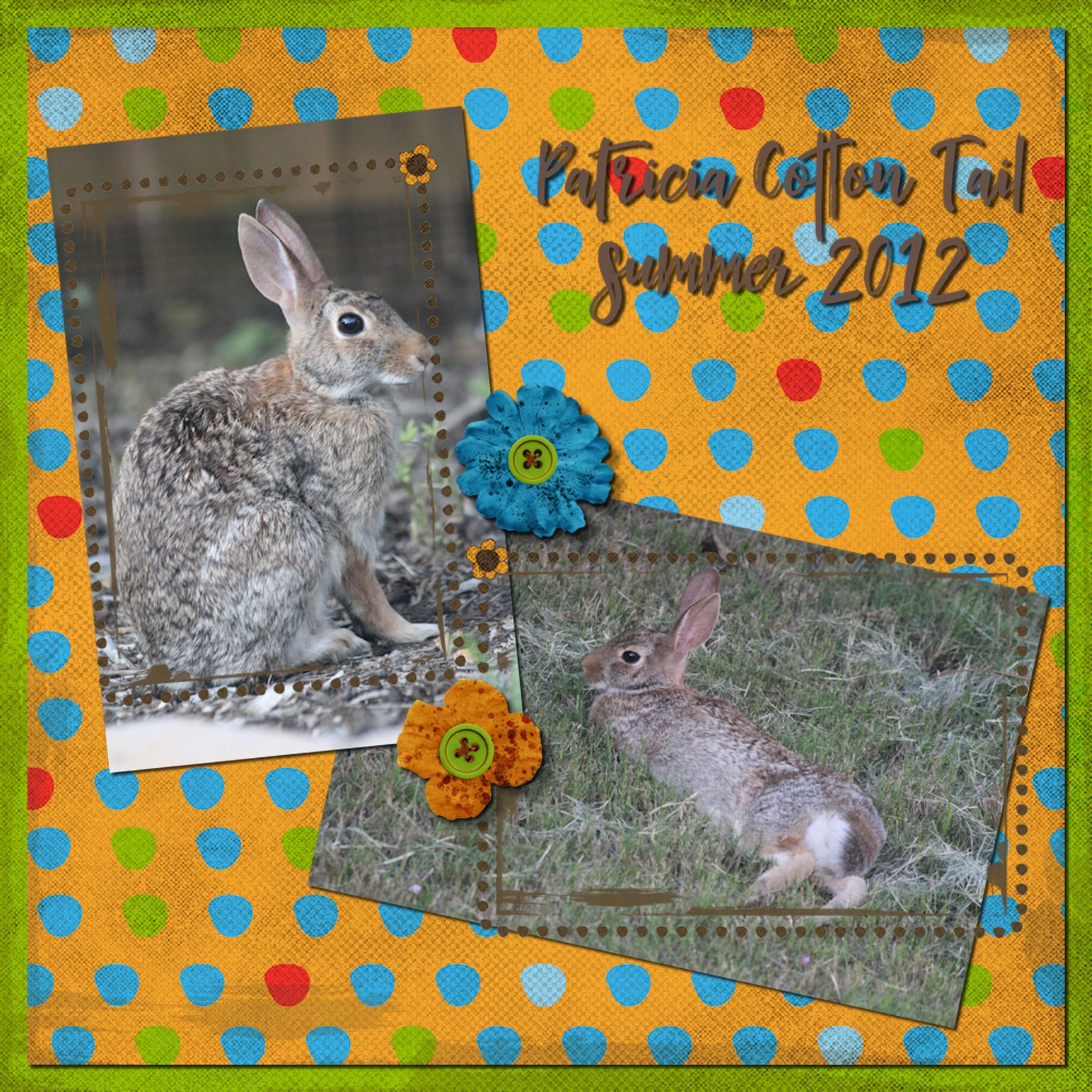 Digital Scrapbook - image 1 - student project