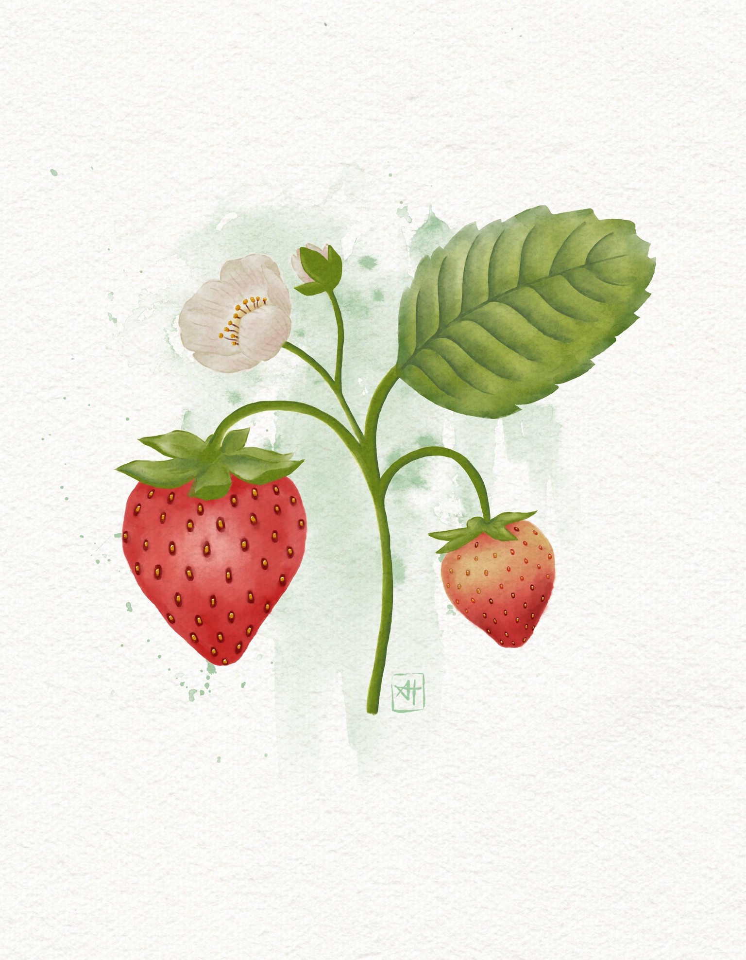 Watercolor Strawberry Project - image 1 - student project