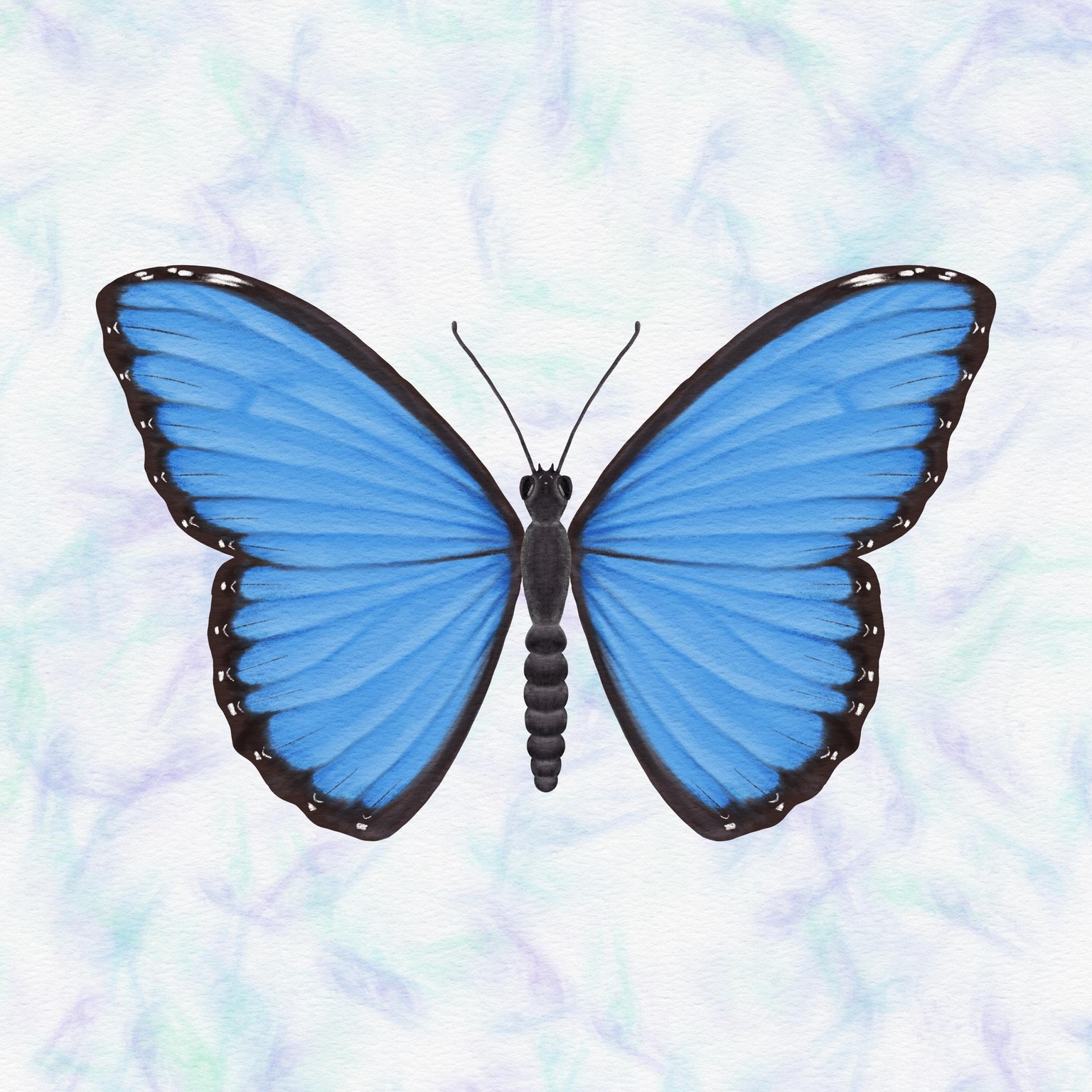Illustrate & Animate Butterflies in Procreate - image 1 - student project