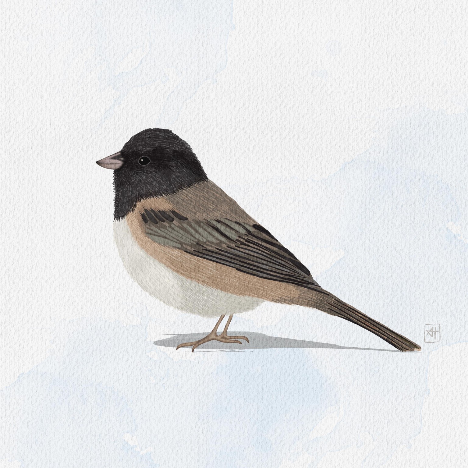 Illustrate Birds in Procreate - image 1 - student project