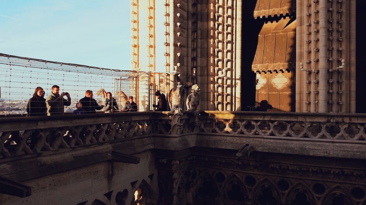 Paris in November - image 4 - student project