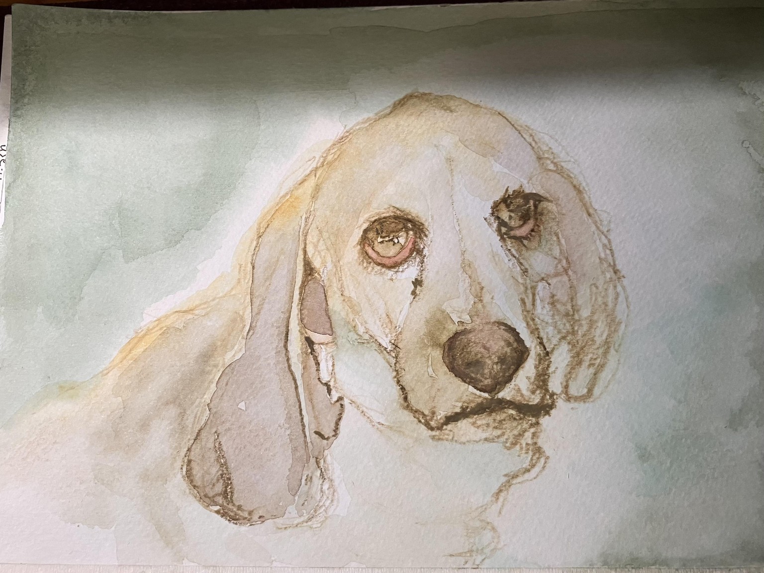 Had another wonderful drawing session - image 1 - student project