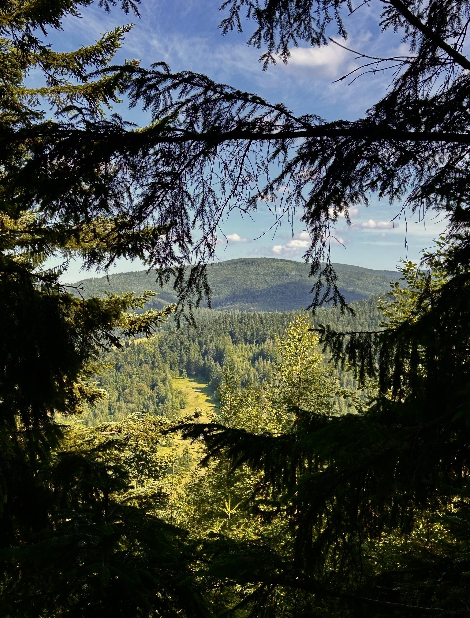 Mountains - image 2 - student project