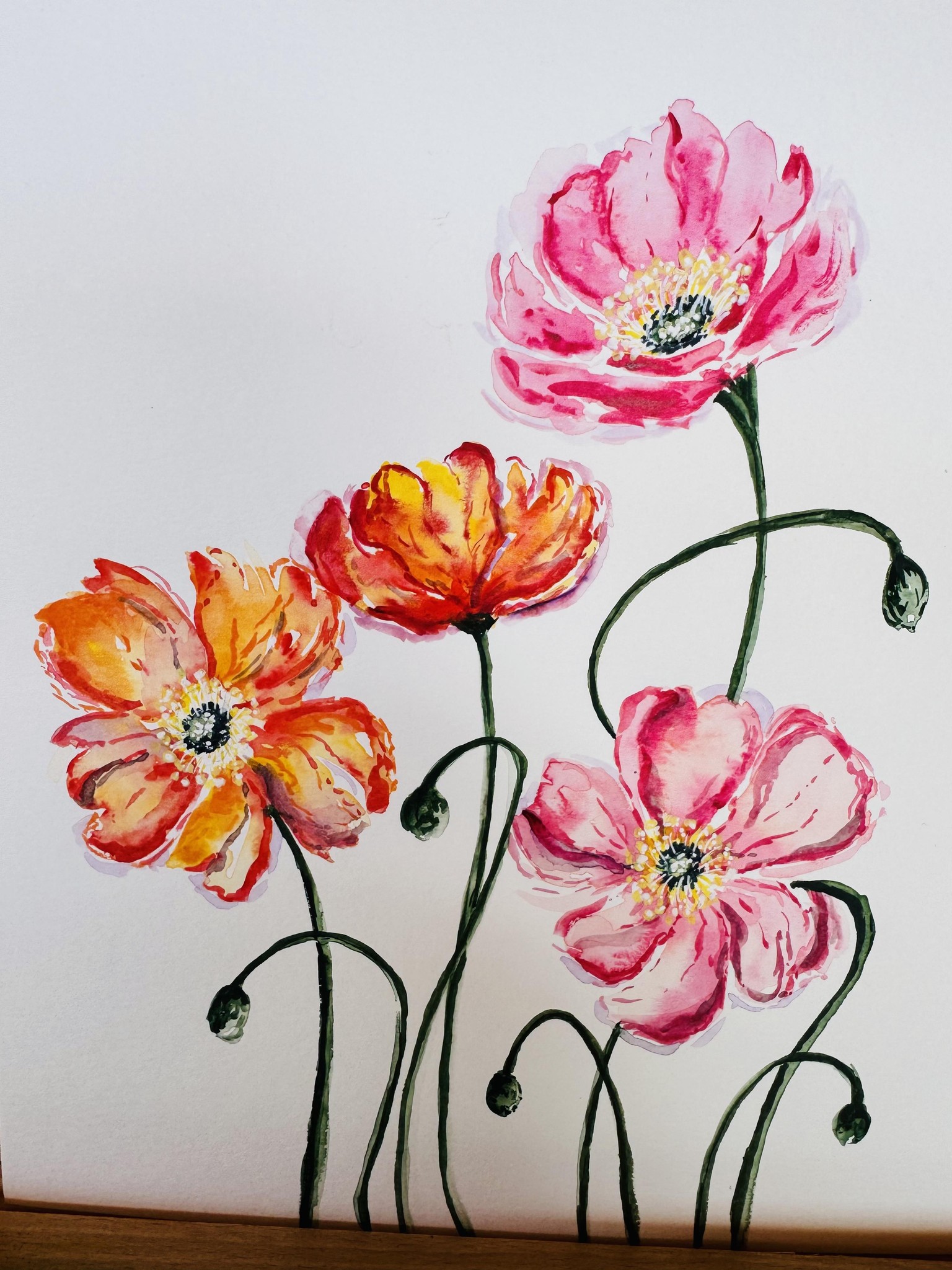 Icelandic Poppies - image 3 - student project