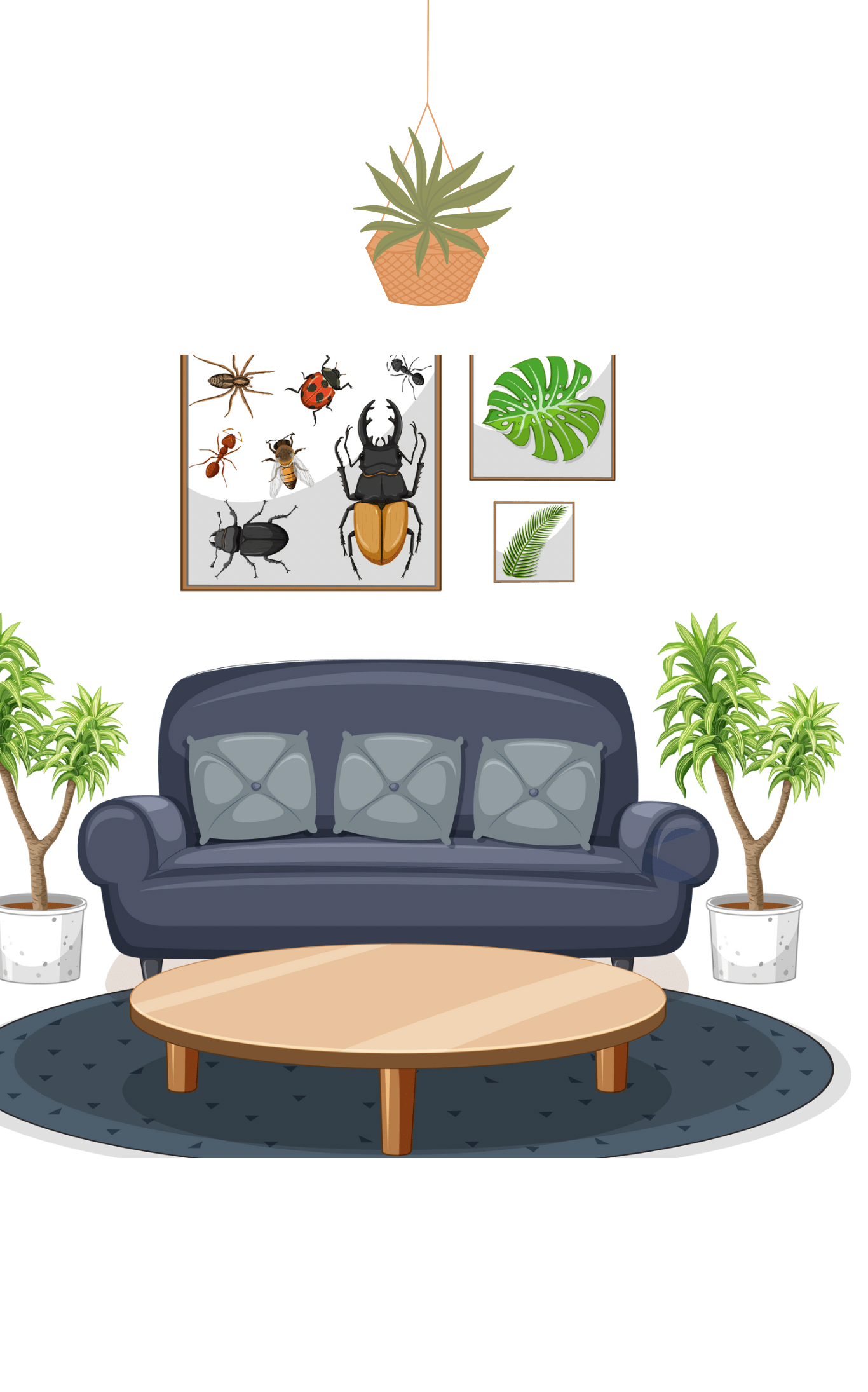 Transform Your Space With Chin - image 1 - student project