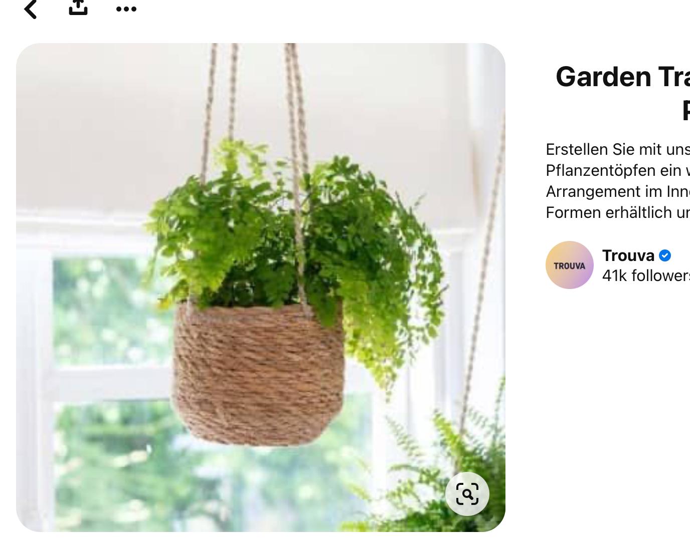 Hanging basket - image 1 - student project