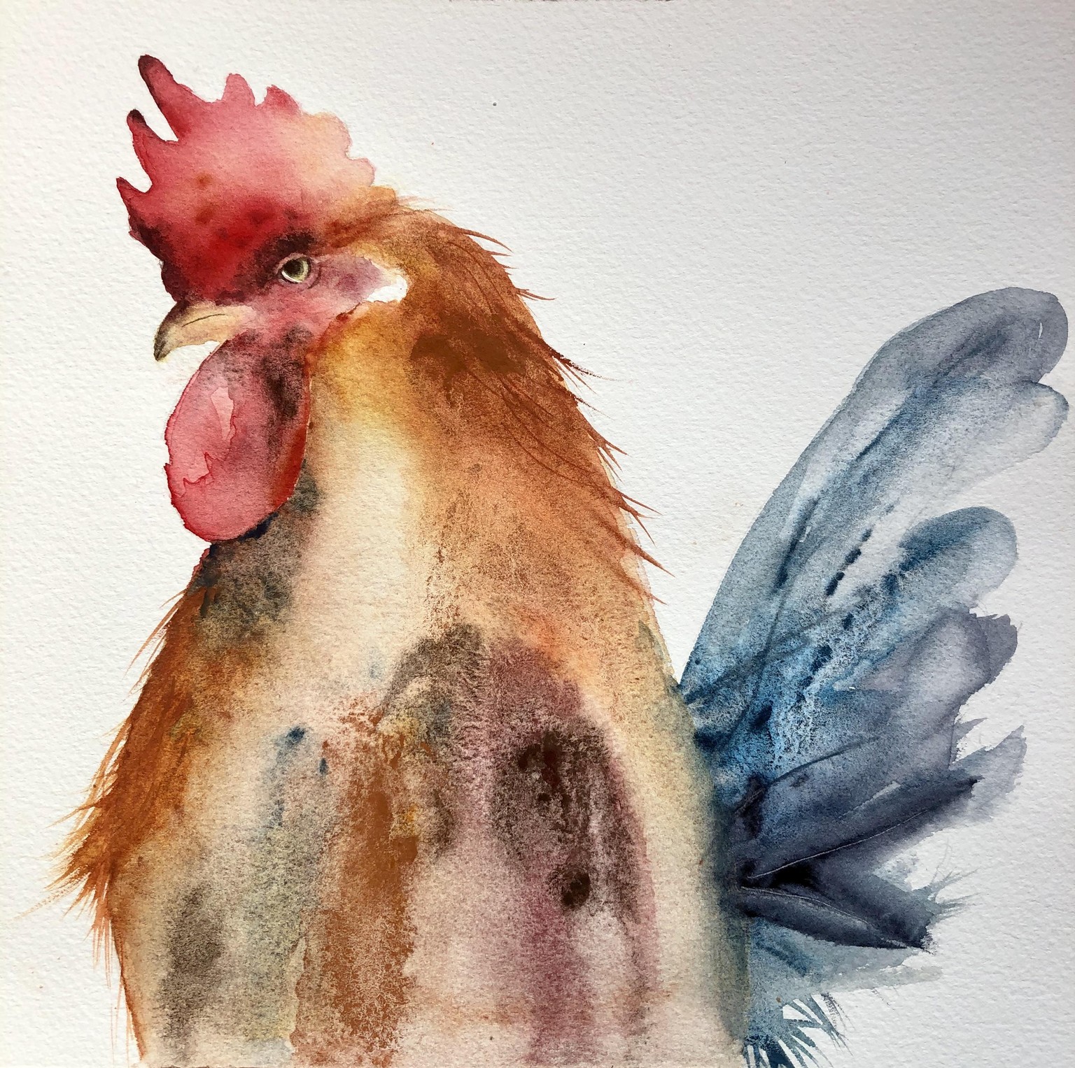 Mr. Cockerel - image 1 - student project