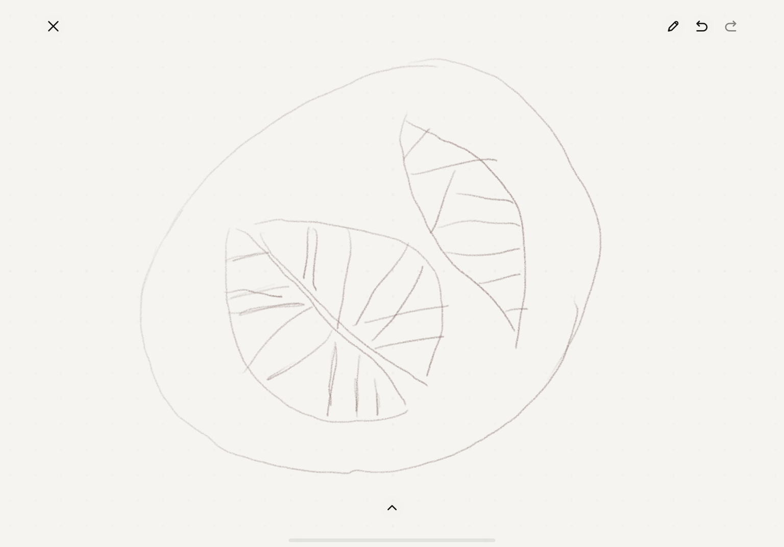 Casual Drawing on IPad - image 1 - student project