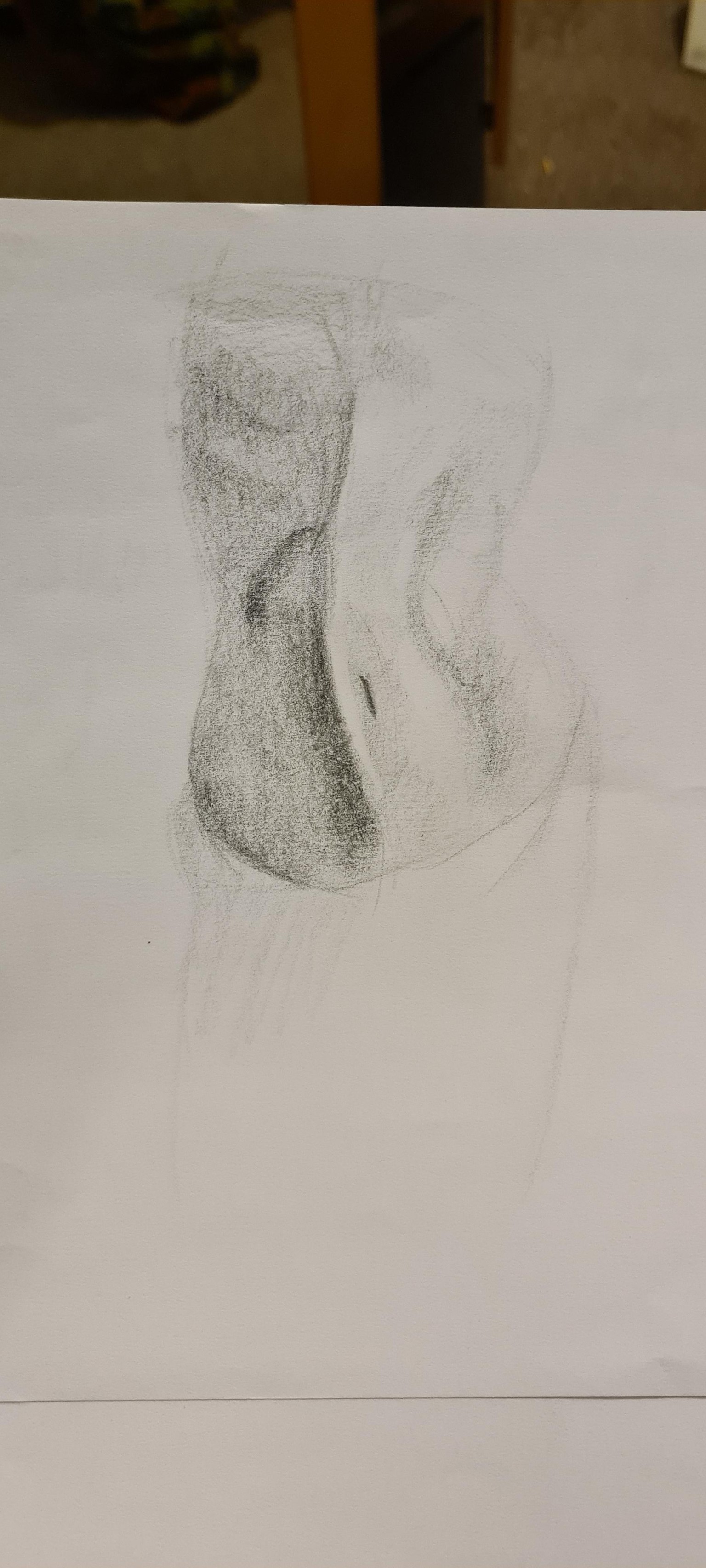 twisting pose - image 1 - student project