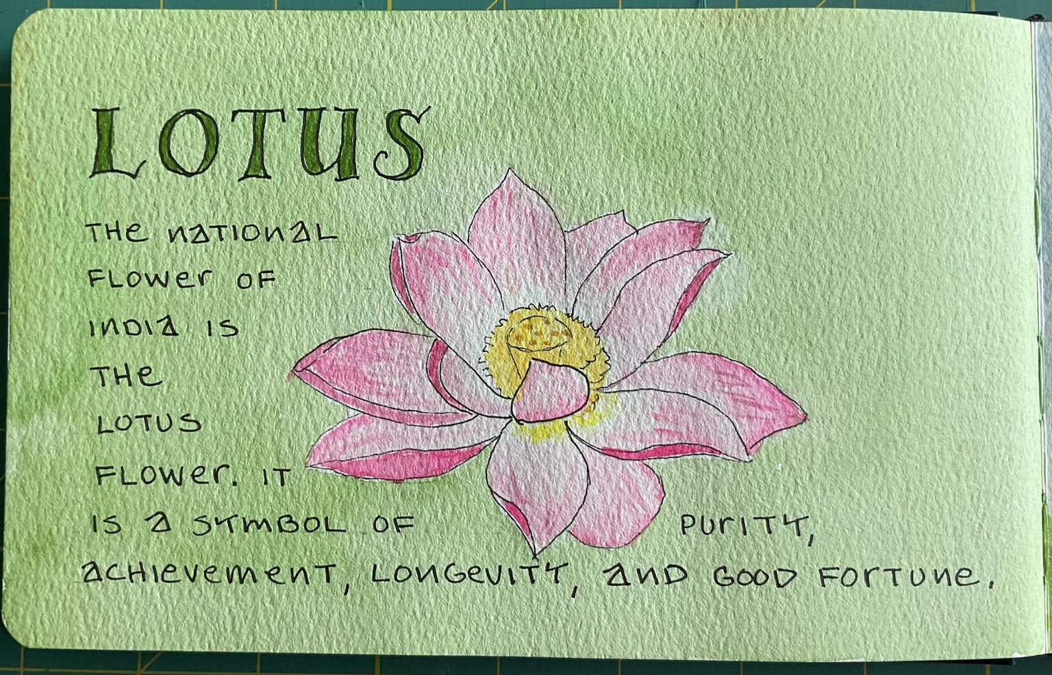India Trip - image 2 - student project