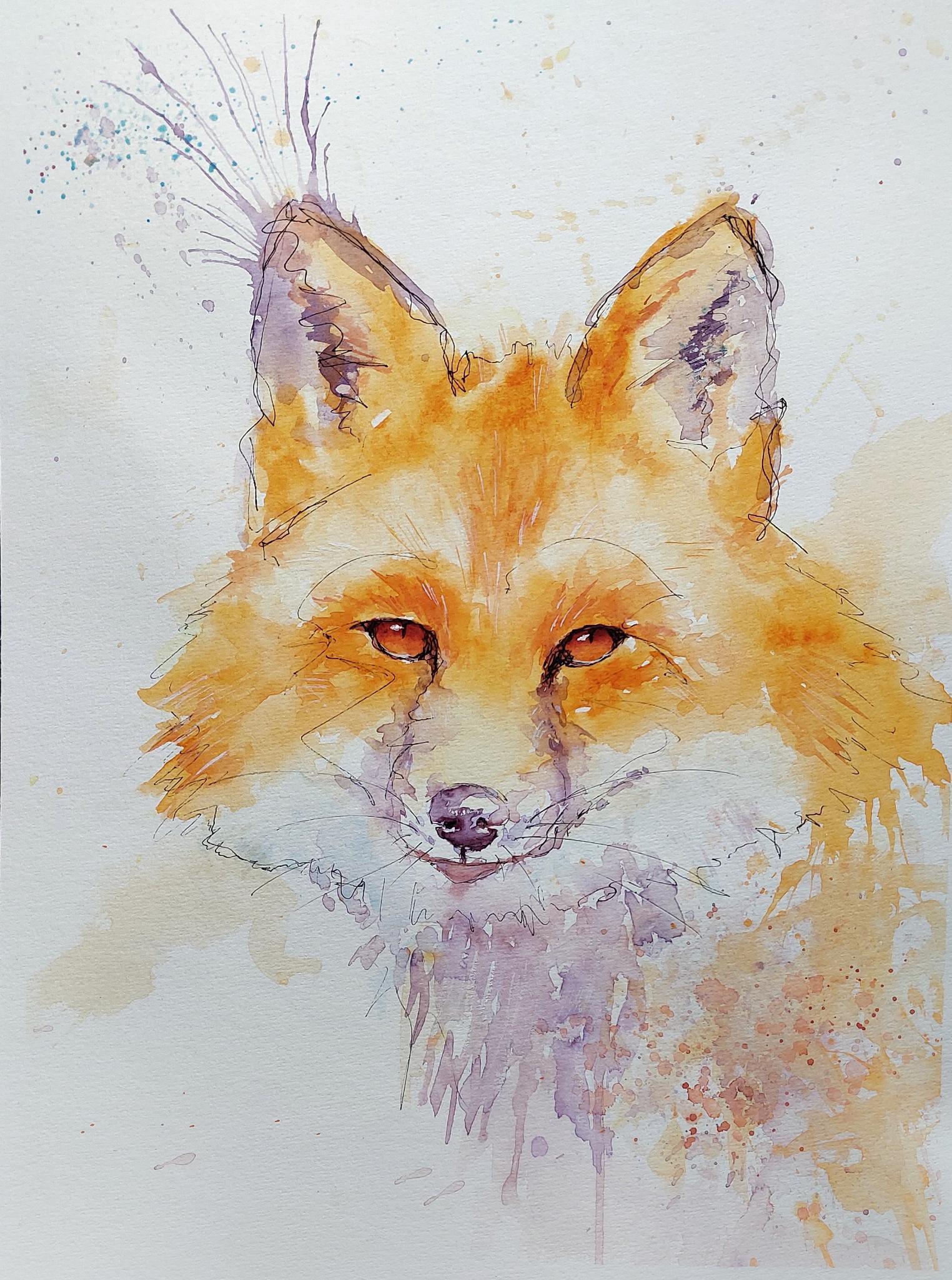 Loose Ink and Watercolor Fox - image 1 - student project