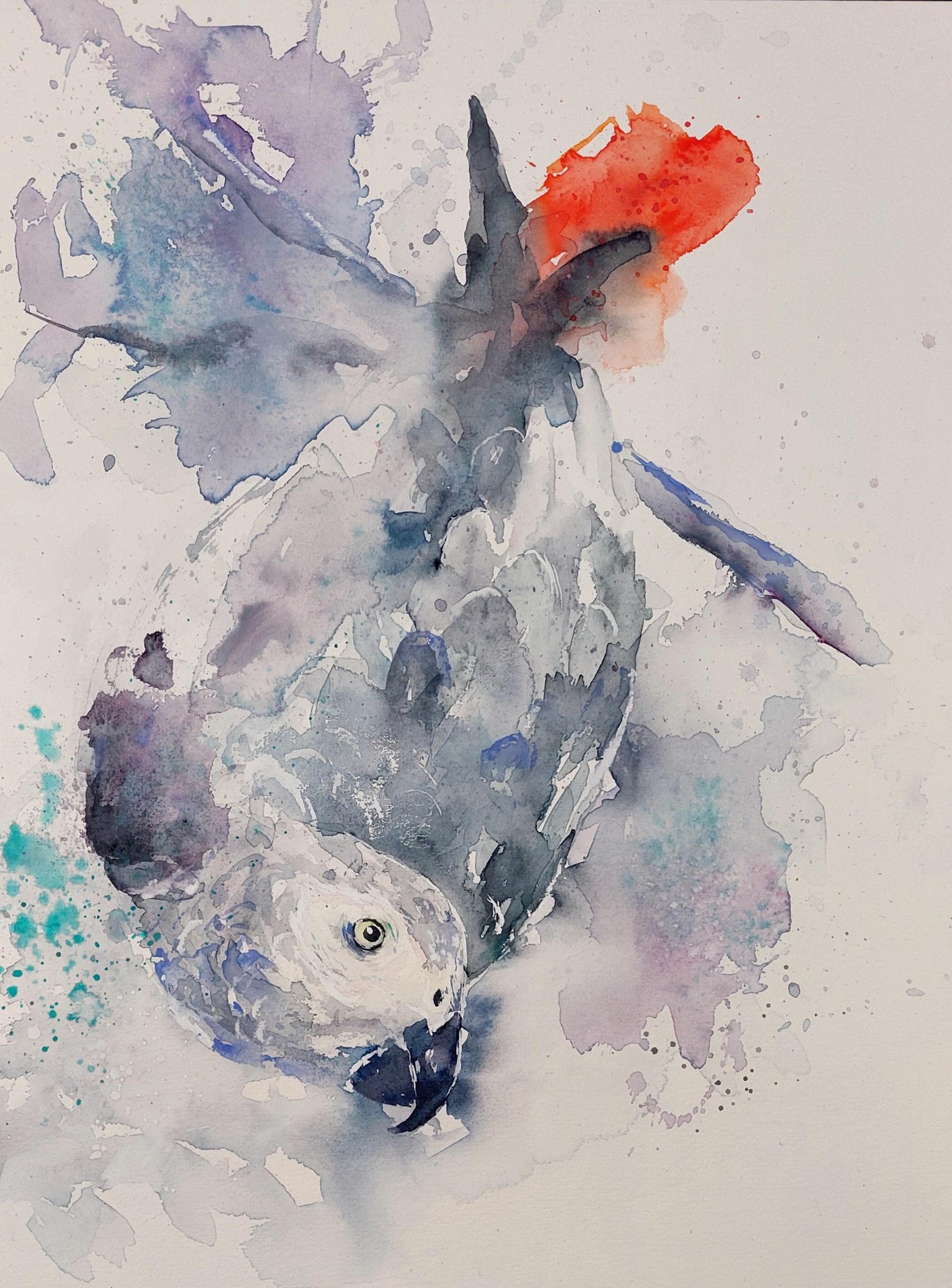 Loose Watercolor Parrot - image 1 - student project