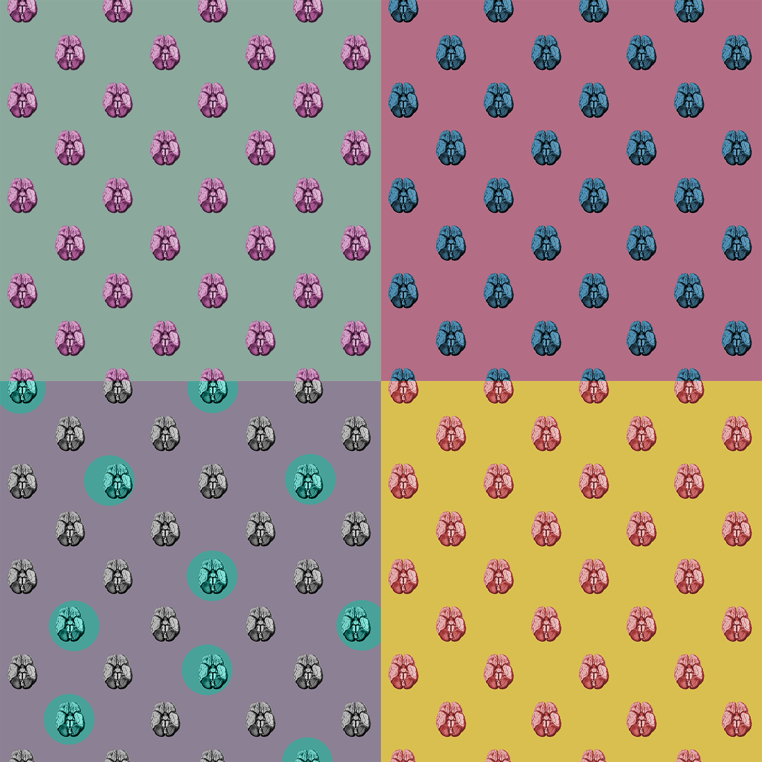 Brain Walnuts! - image 2 - student project