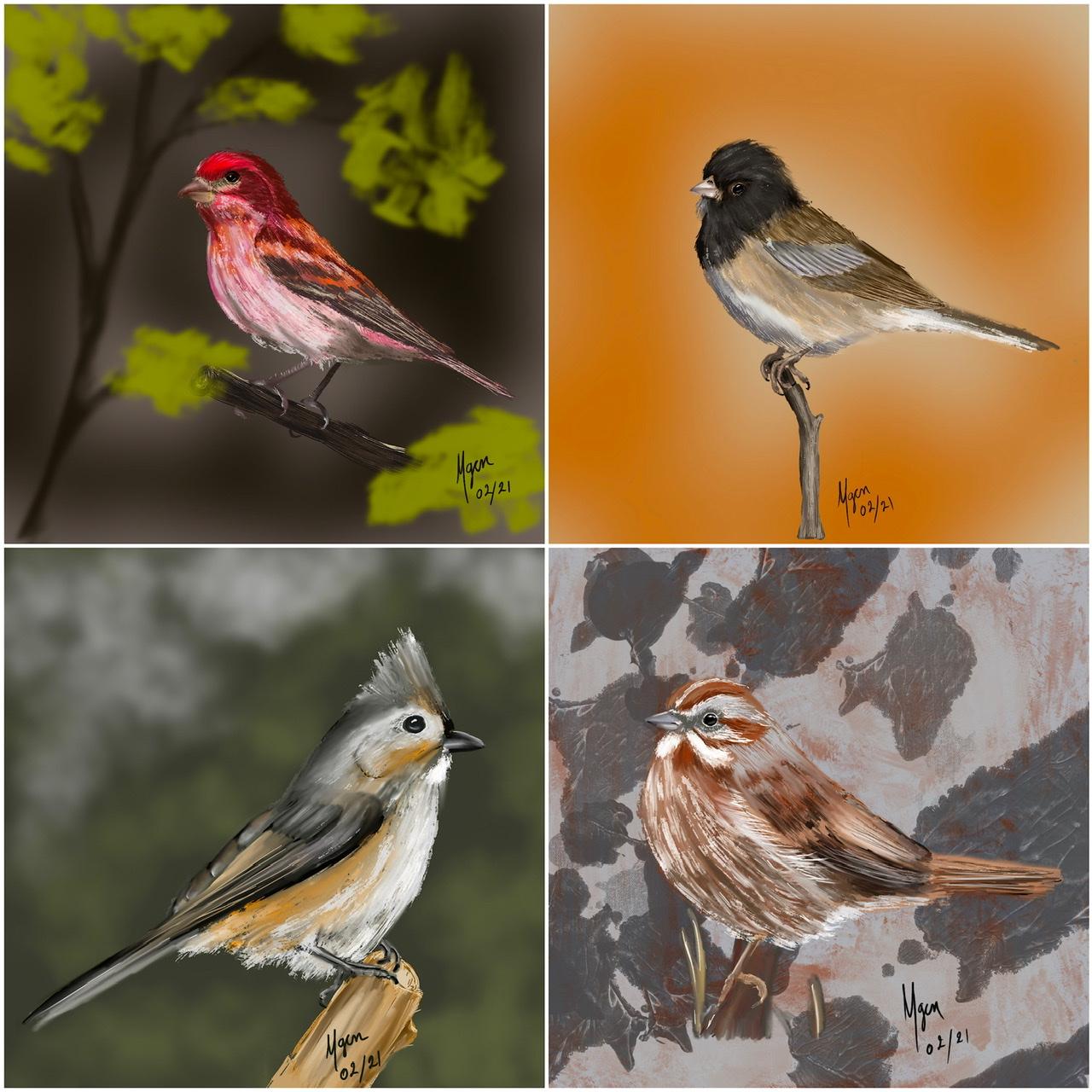 Birds - image 1 - student project