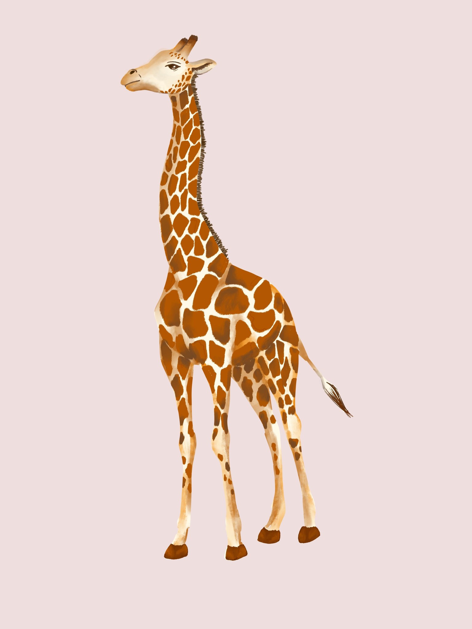 Giraffes! - image 1 - student project