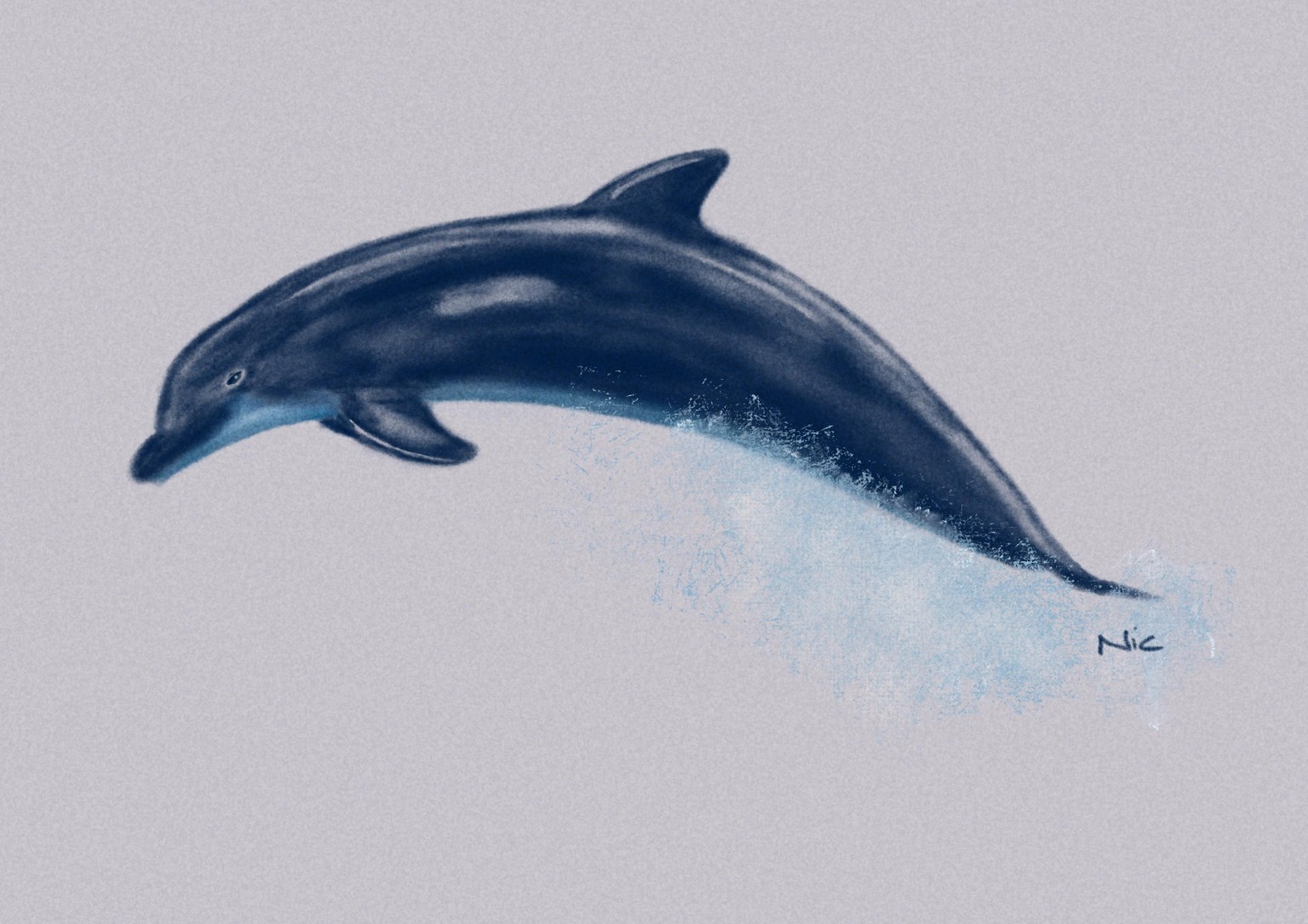 Amazing course! - image 3 - student project