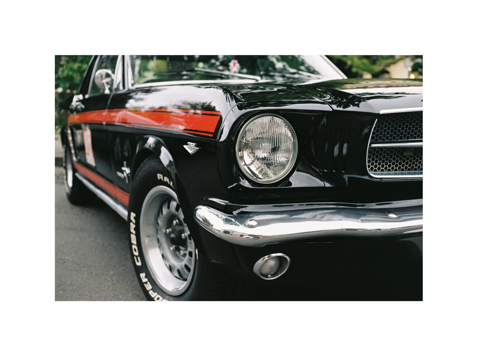 First roll of film - Kodak Gold 200 - image 2 - student project