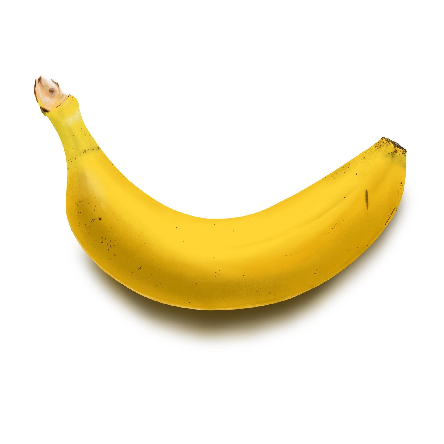 My Flo Fruit! - image 1 - student project