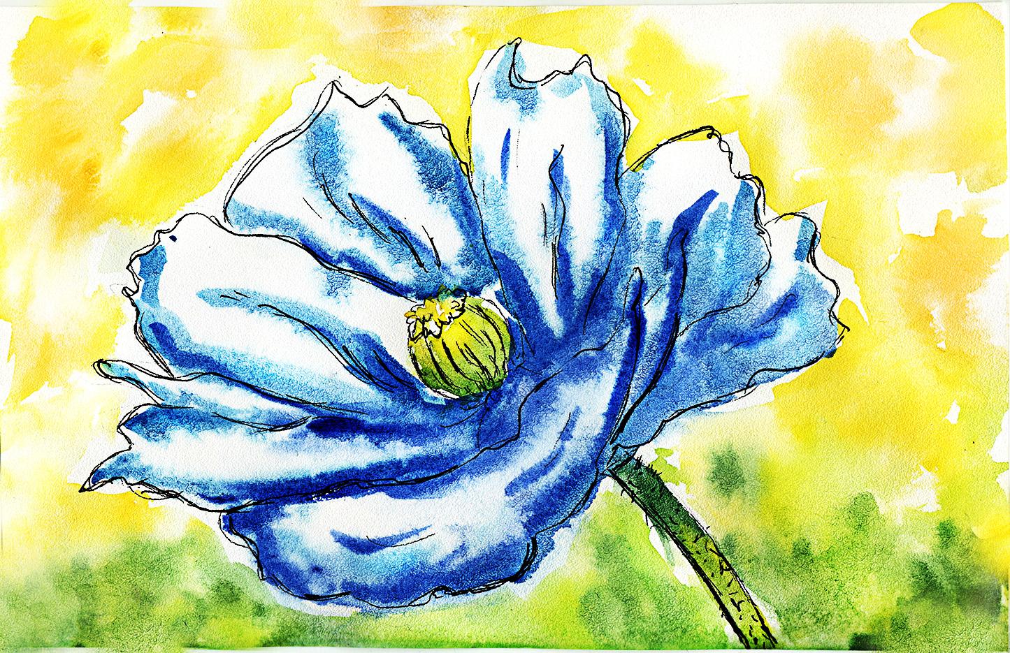 Blue poppy - image 1 - student project