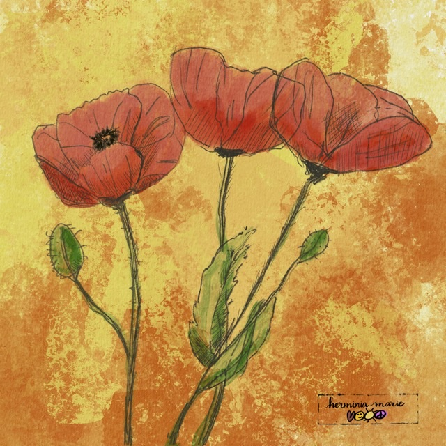 Poppies - image 1 - student project