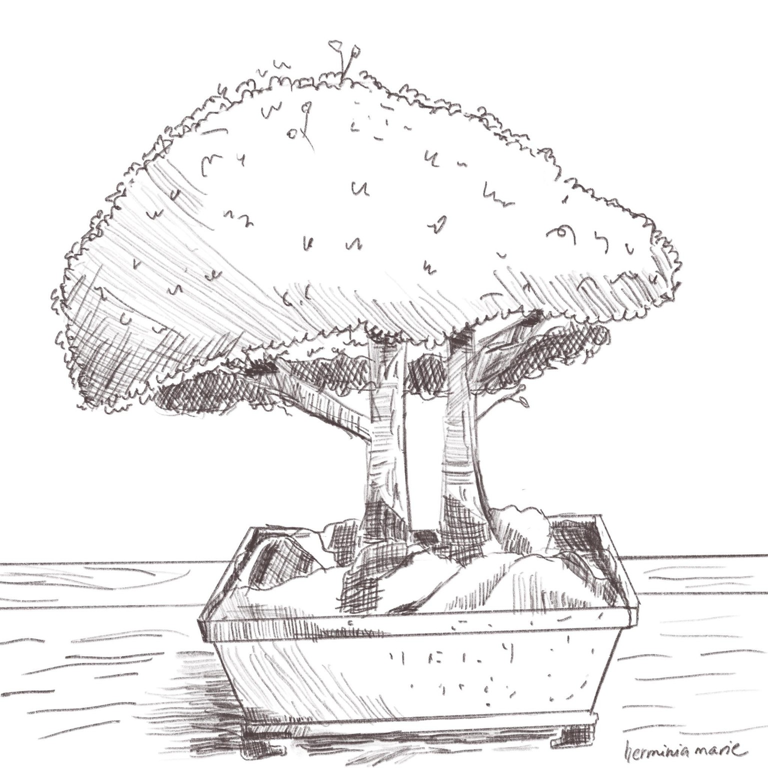Bonsai tree - image 1 - student project