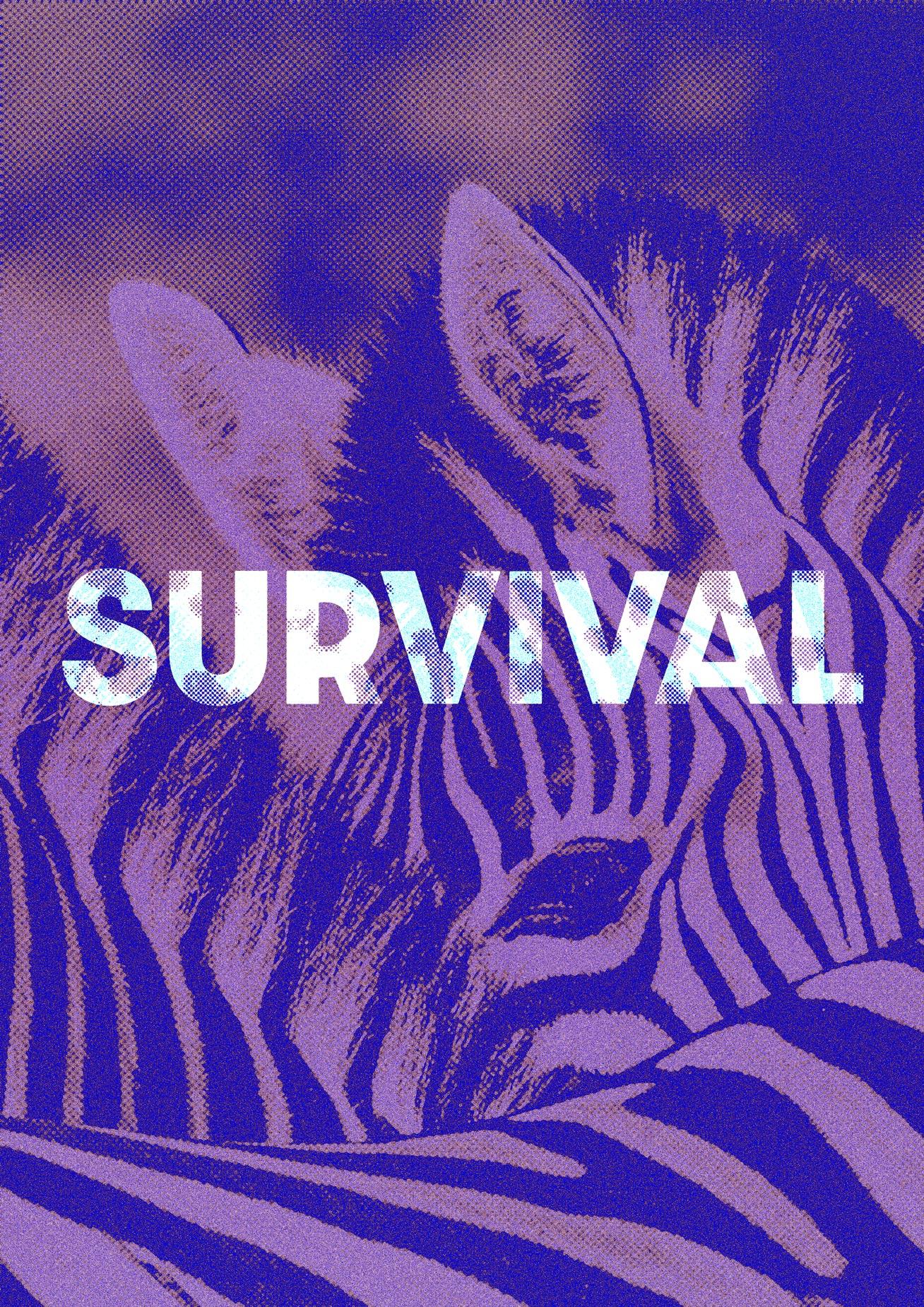 Gritty Zebra - image 1 - student project