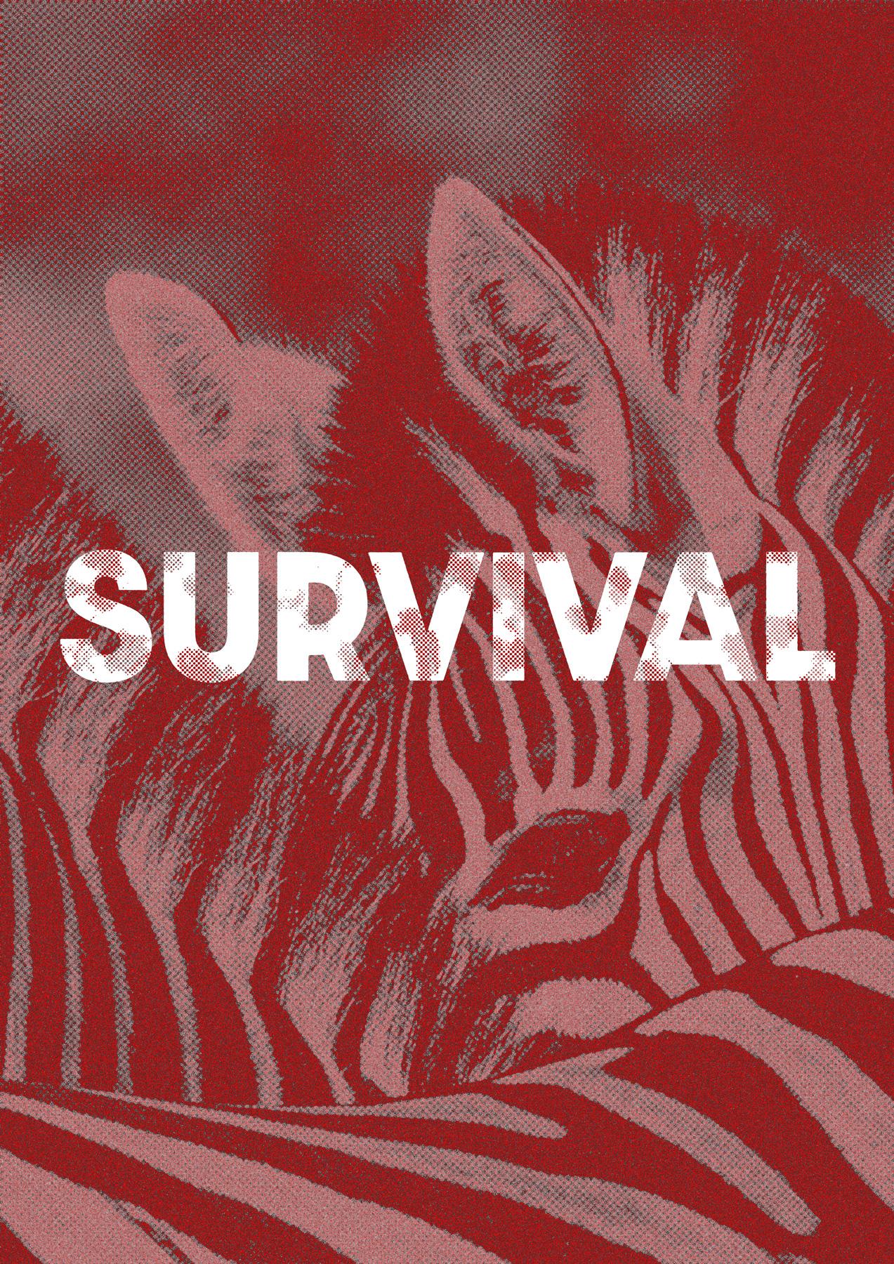 Gritty Zebra - image 2 - student project