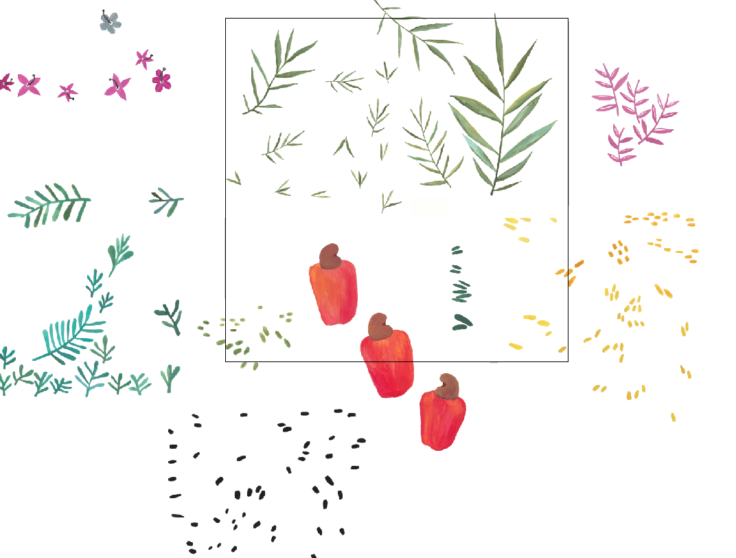 Cashew fruit pattern - image 2 - student project