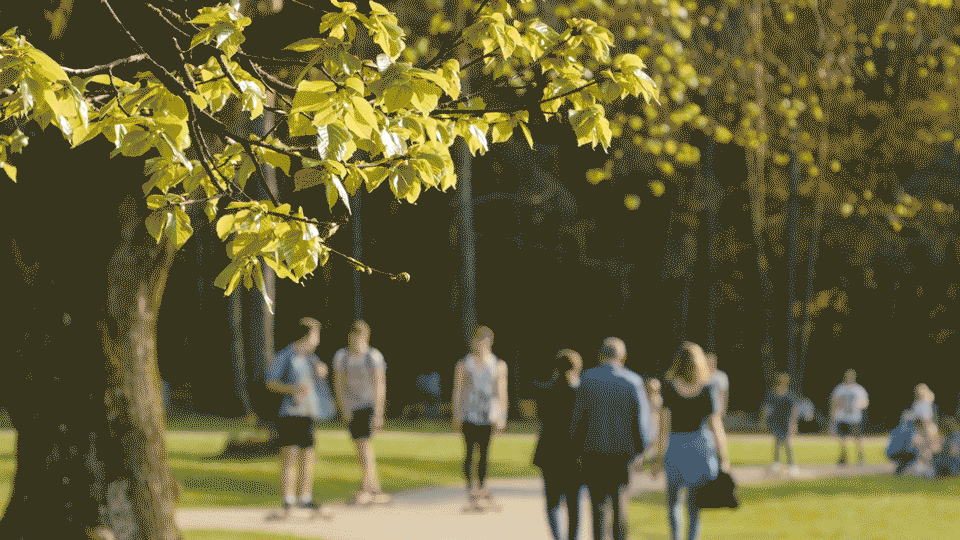 Park Cinemagraph - image 1 - student project