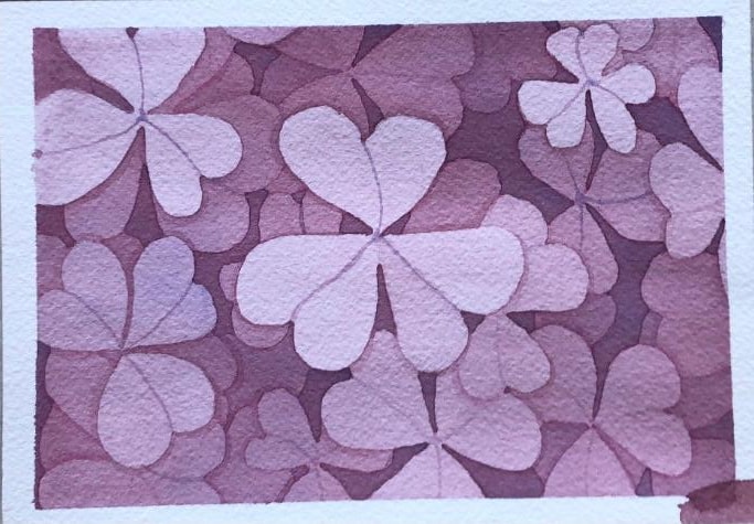 clover patch - image 1 - student project